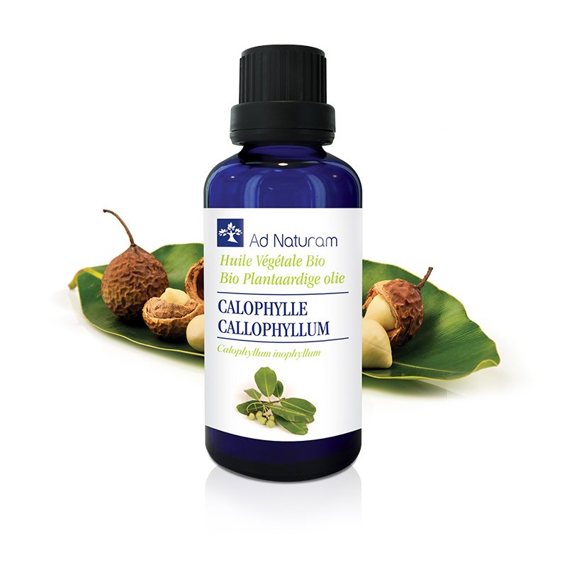Calophylle BIO 50ml