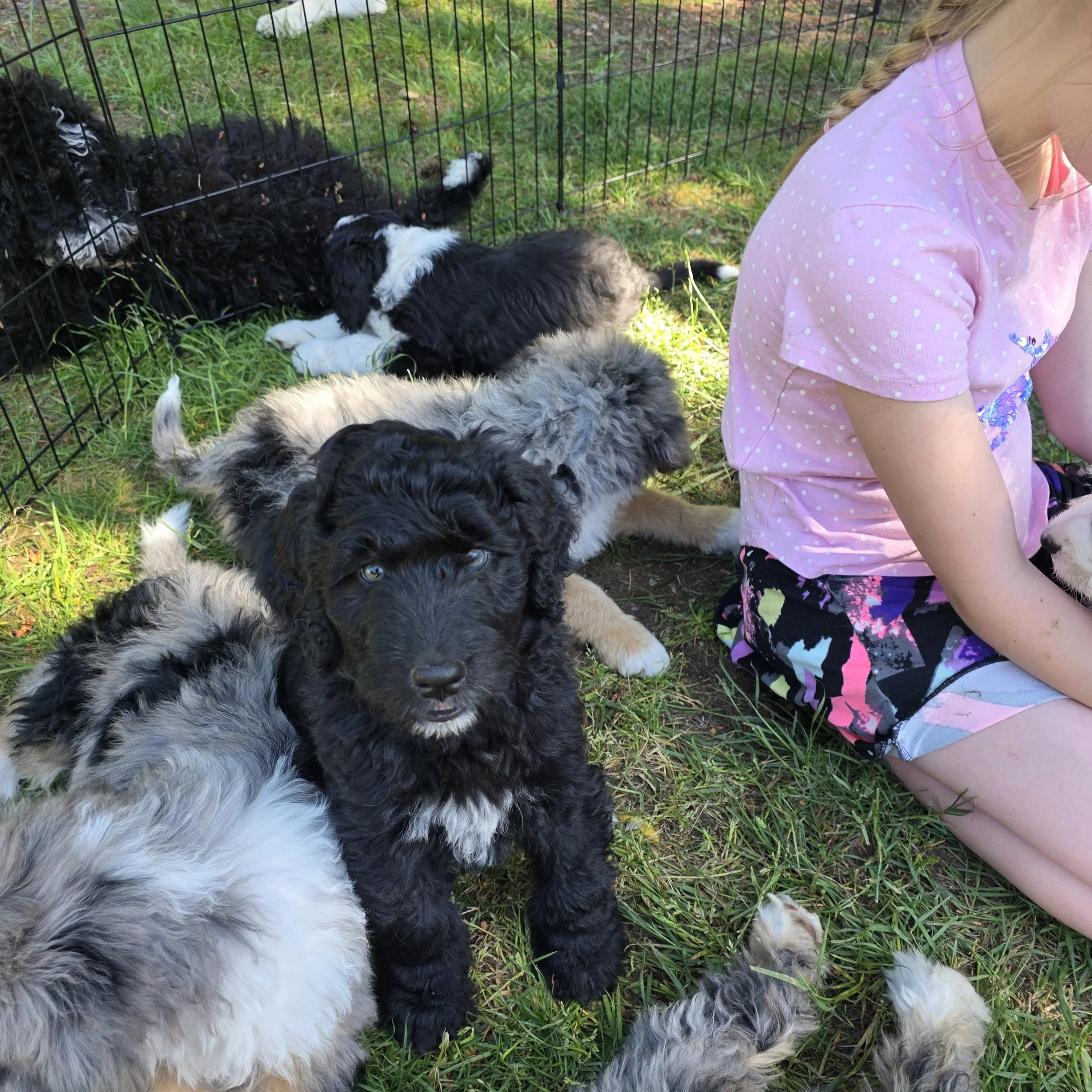 Tank - Male - Reserved