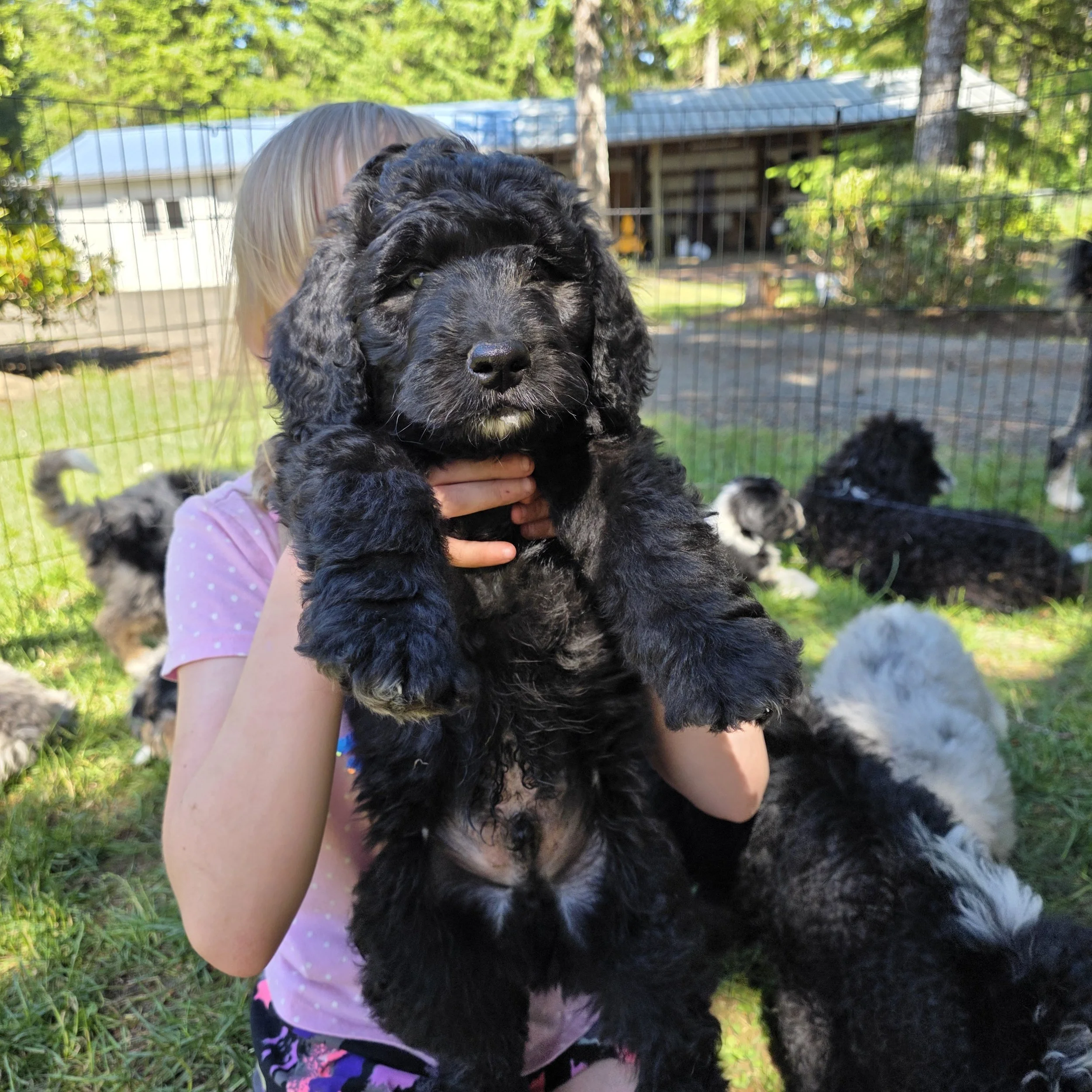 Tank - Male - Reserved