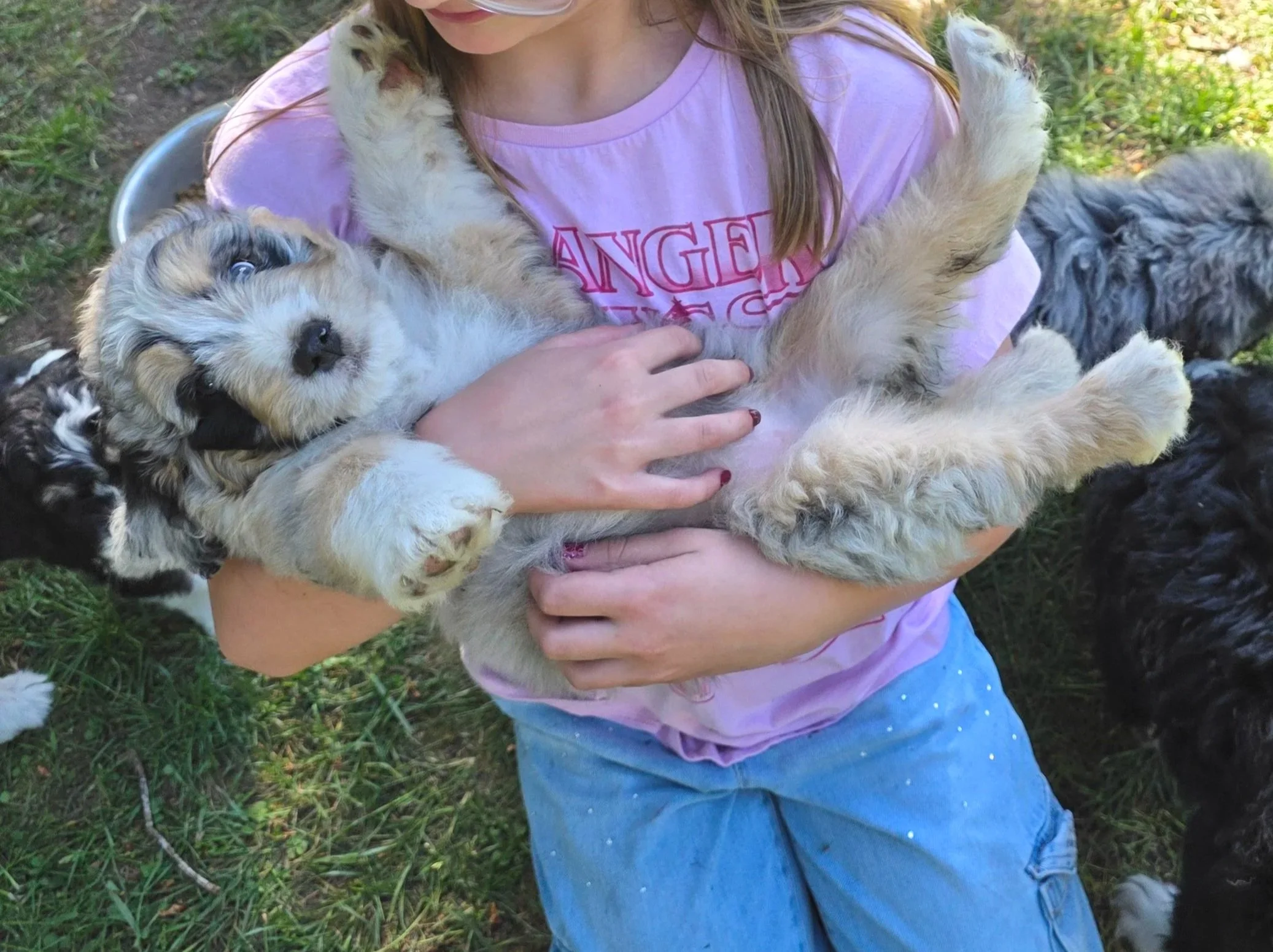 Skye - Female - Reserved