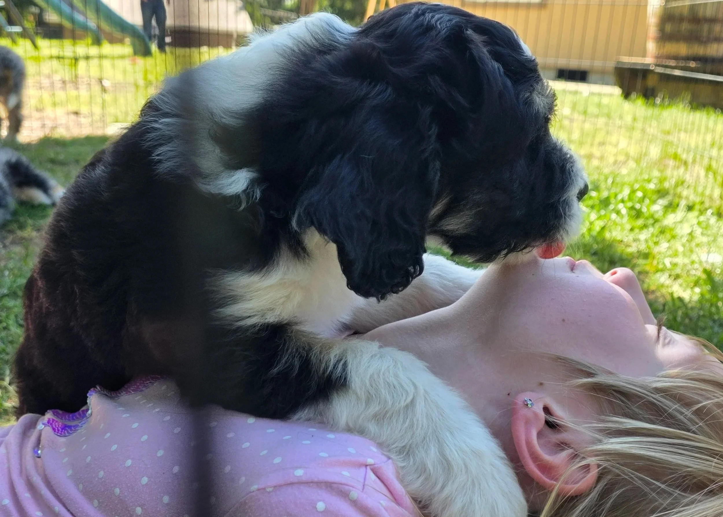 Cooper - Male - Reserved