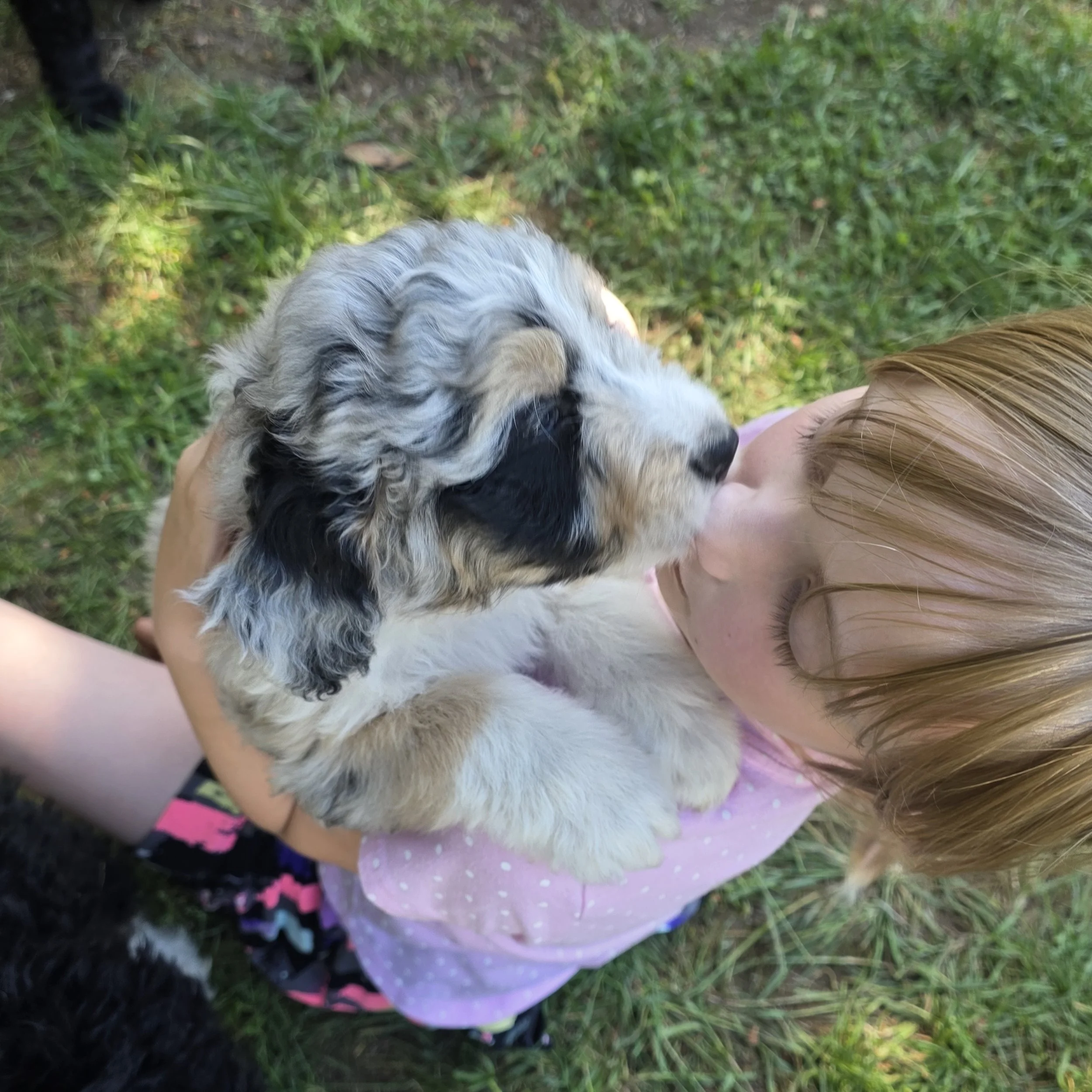 Skye - Female - Reserved