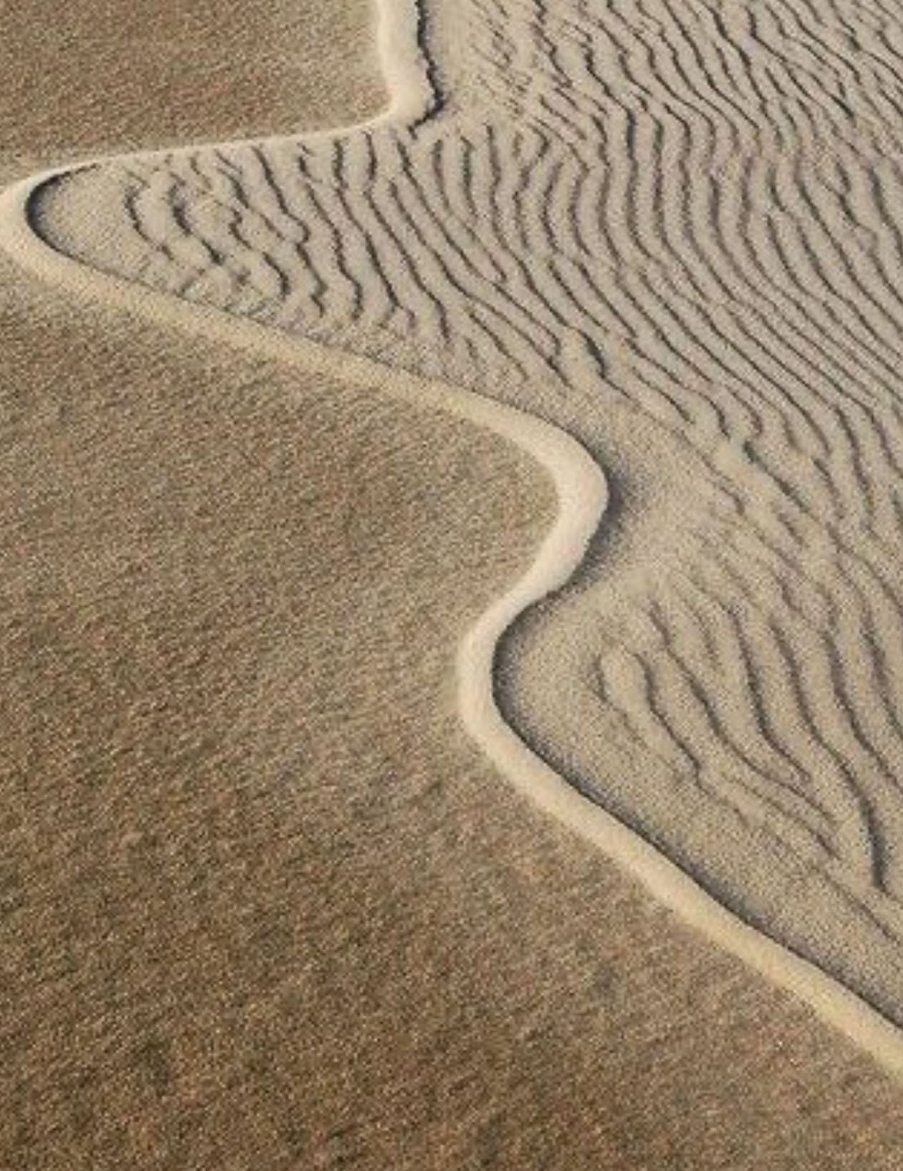 warners launch presentation 4web.product w_mood_15 sand.jpg