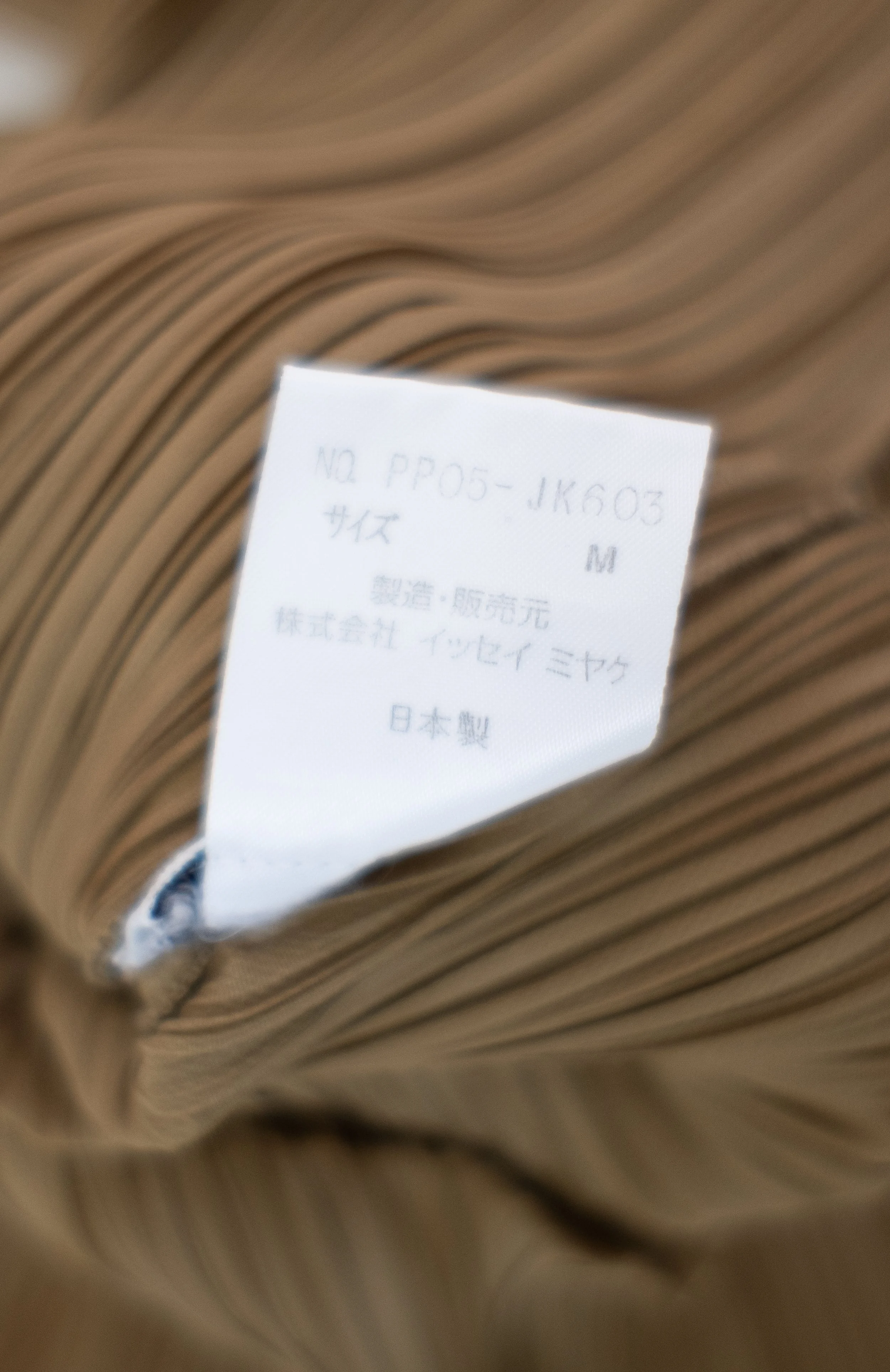 DSCF1380.jpg