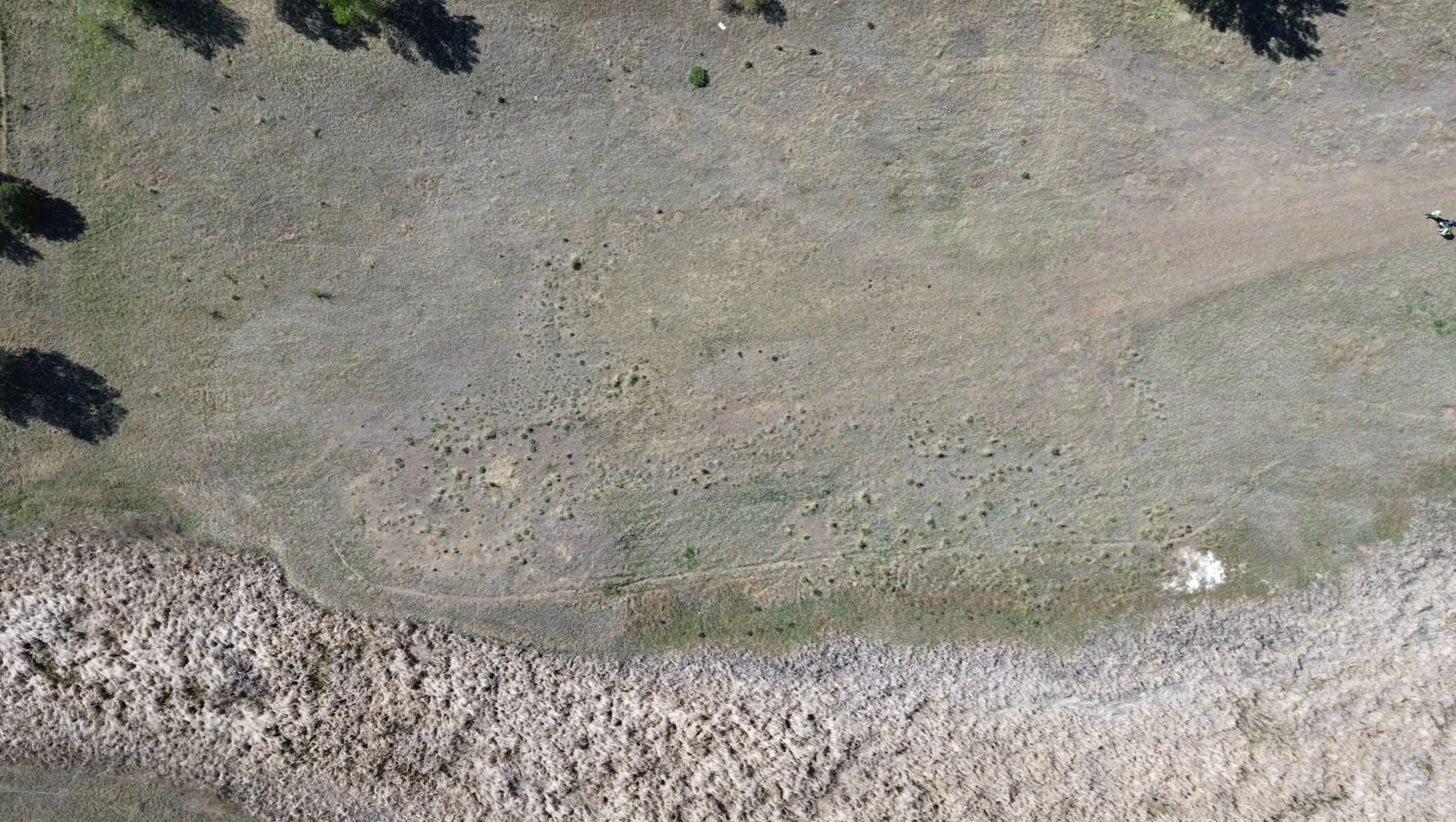 Environmental Aerial Oil