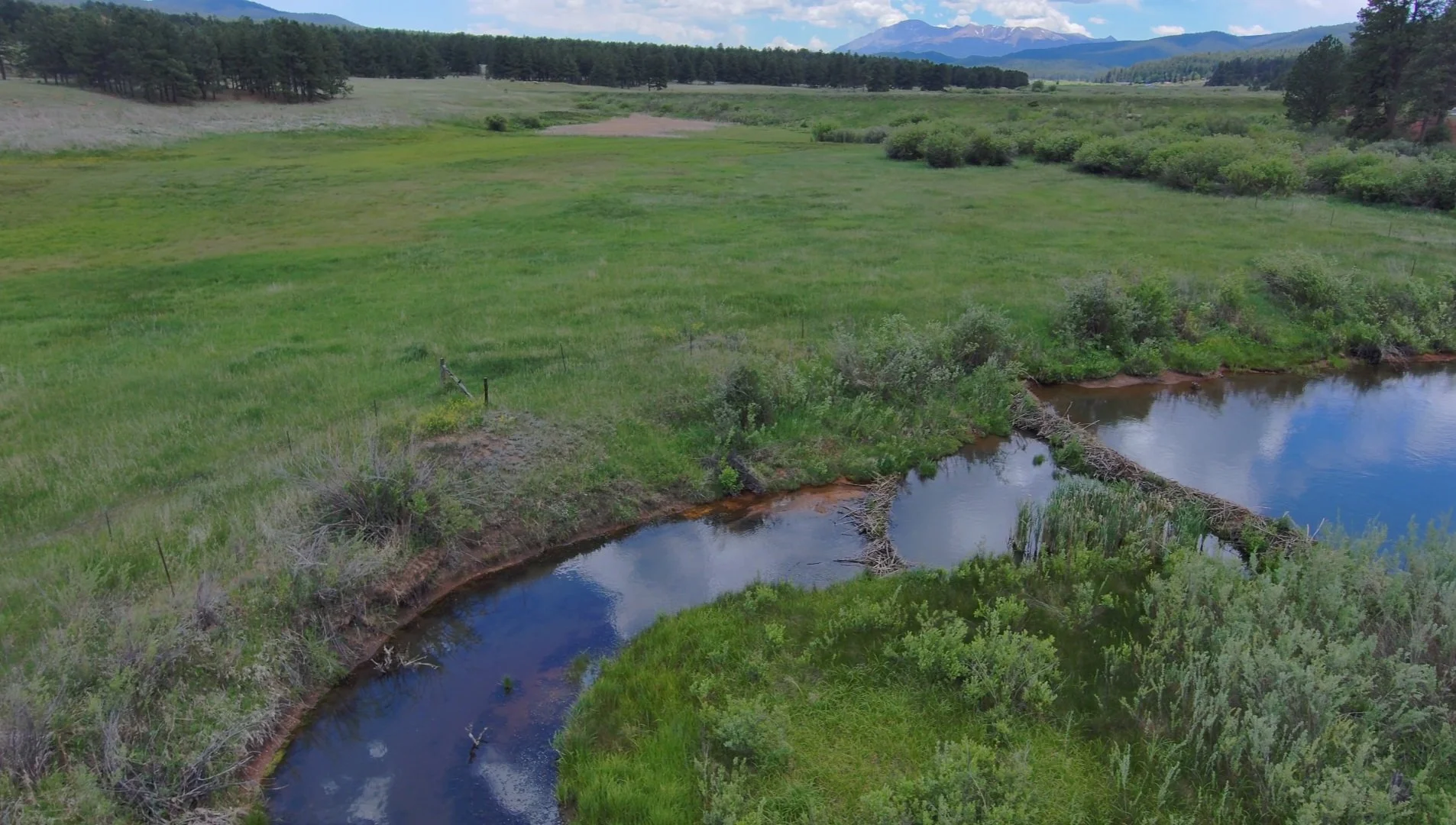 Environmental Aerial