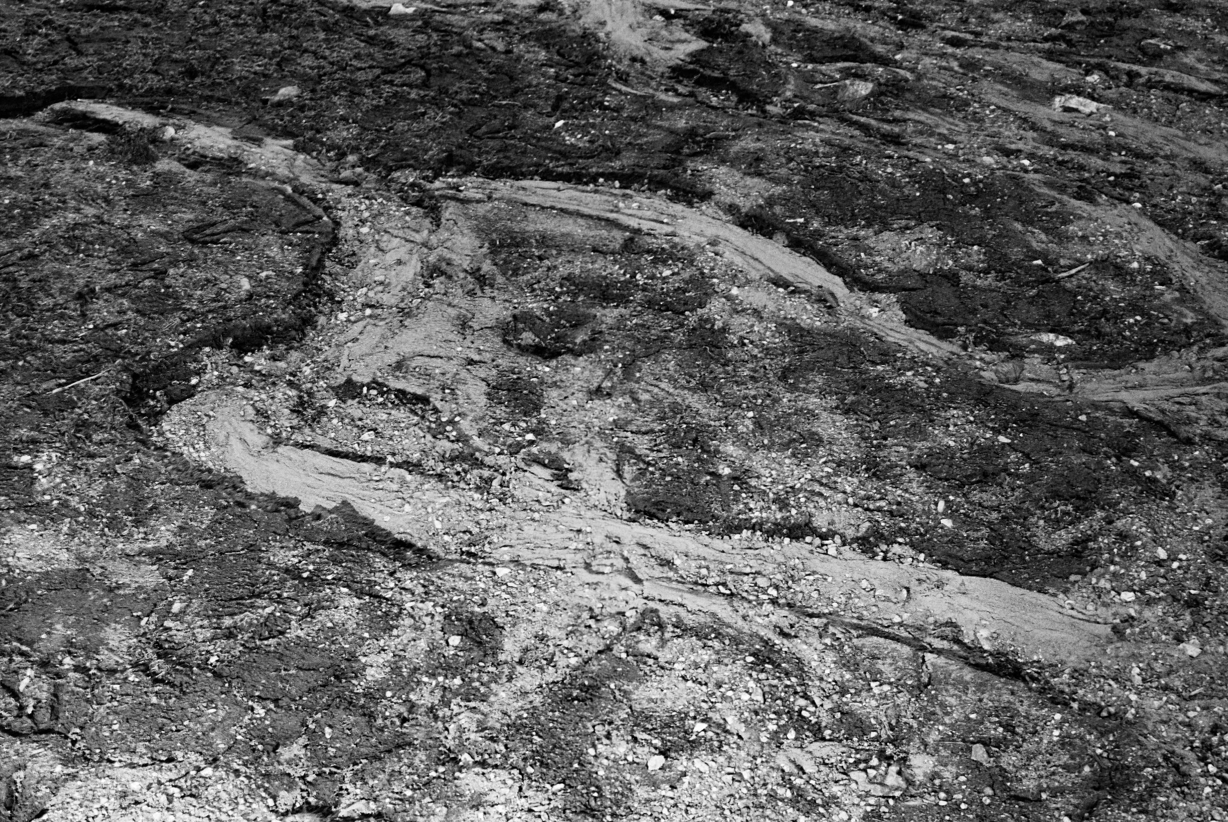 Spruce Run Reservoir:2024-2025 