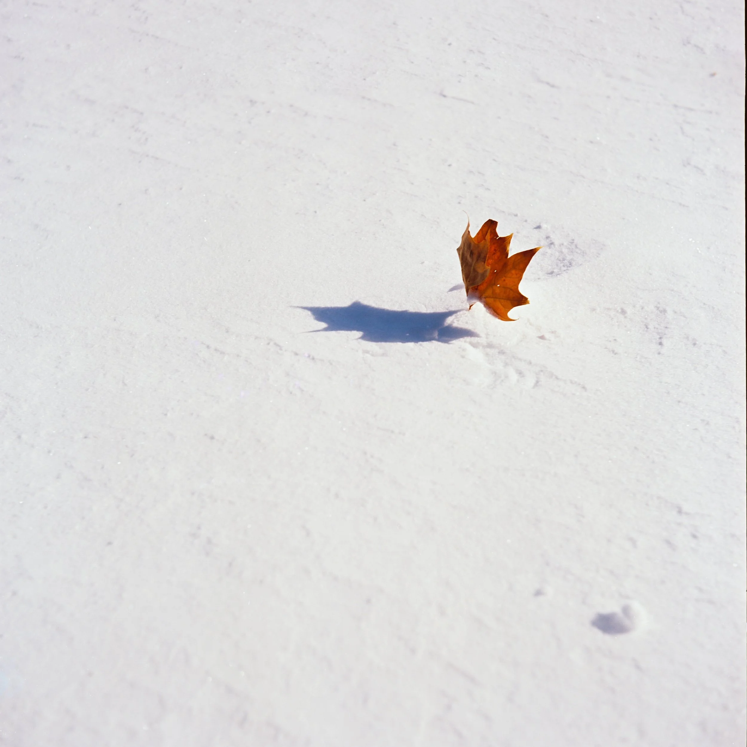 2962C41_2962BC41-R1-E002 (3).jpg