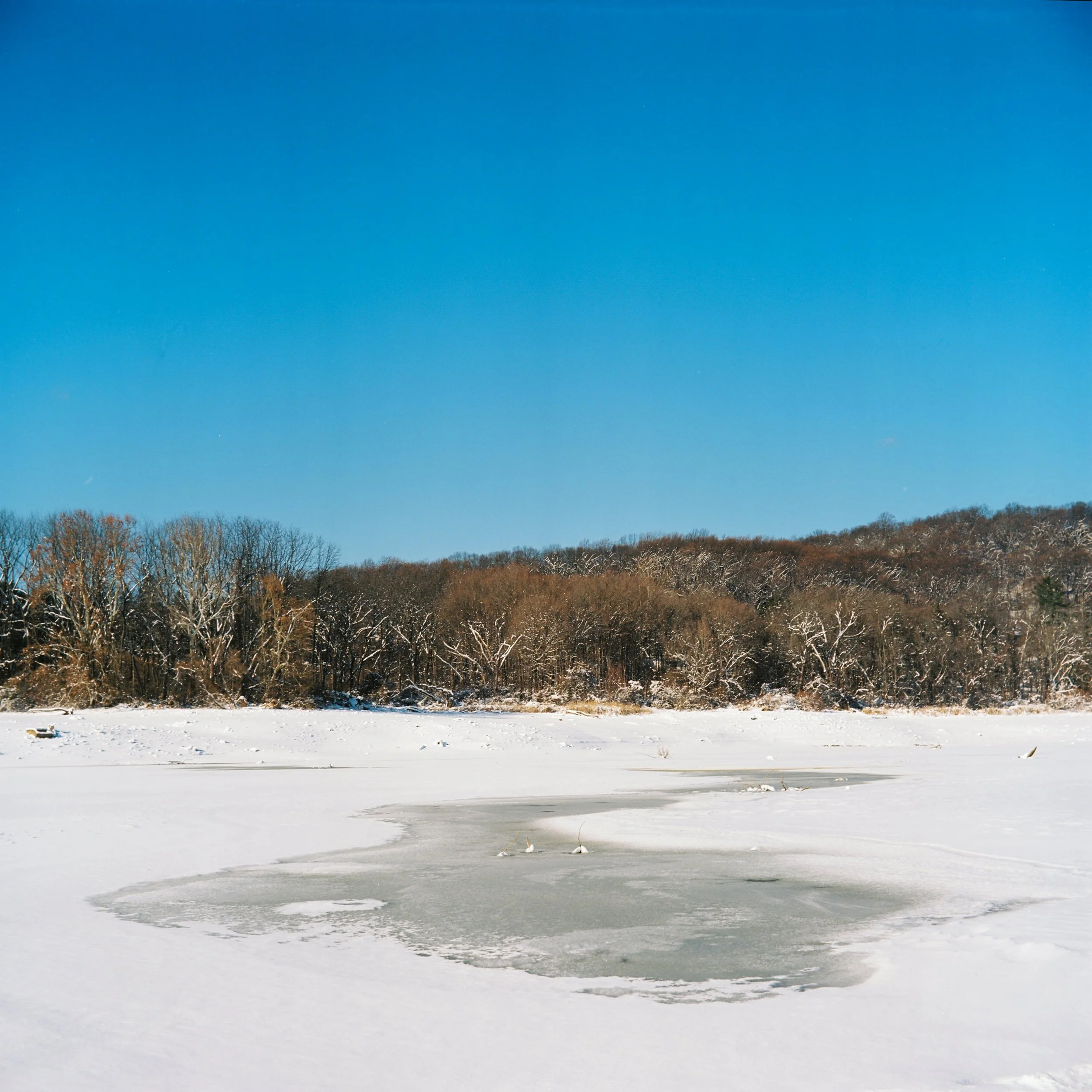 2962C41_2962BC41-R1-E002 (9).jpg