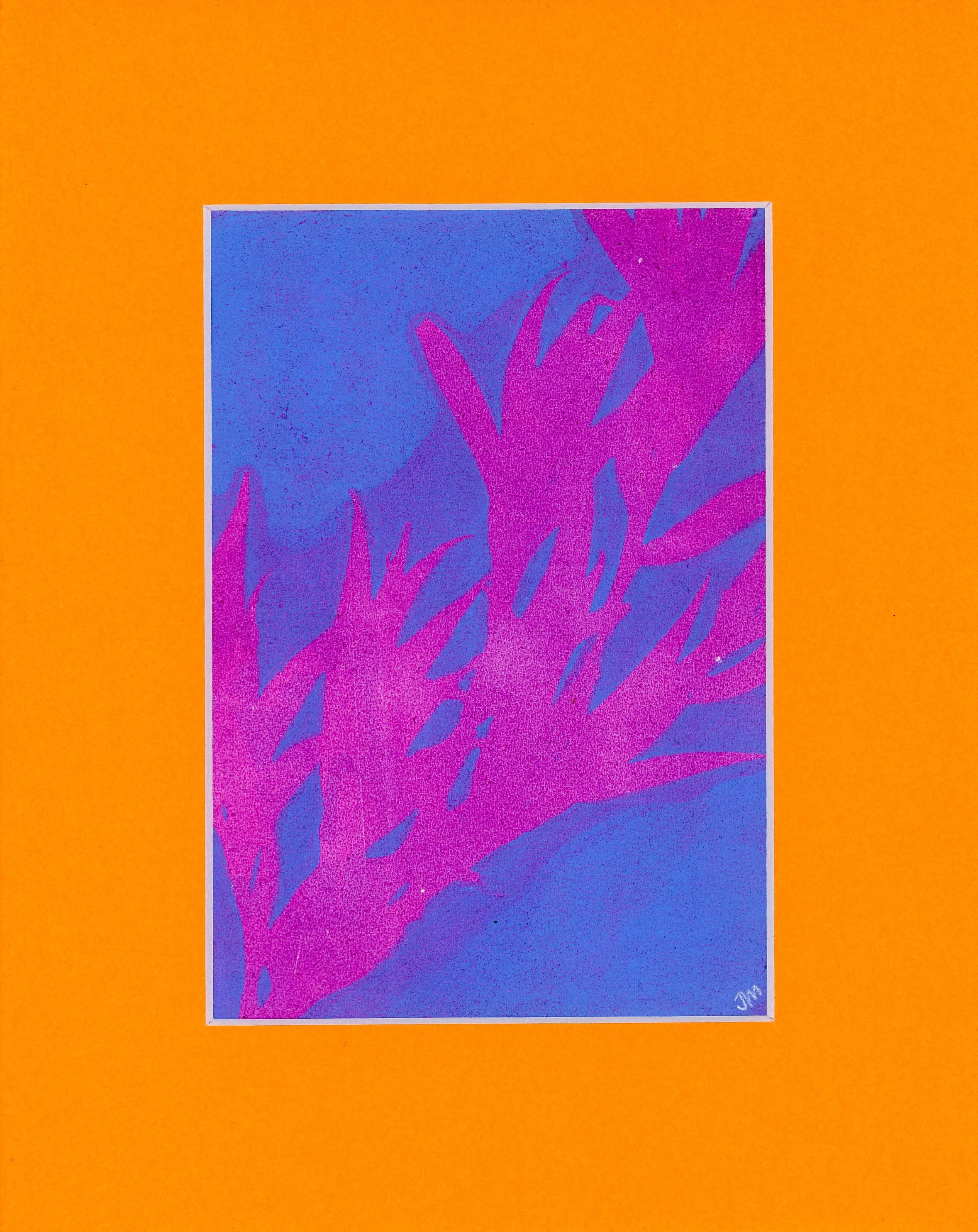 Gooddings willow in electric pink_monotype_5 by 7_ 2025002.jpg