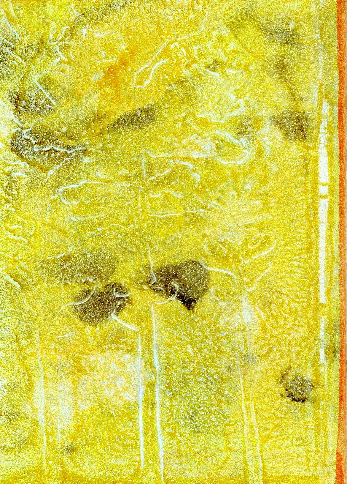 Blank journal mini copper trees__backcover_monotype_3 by 5 inches_2025002.jpg