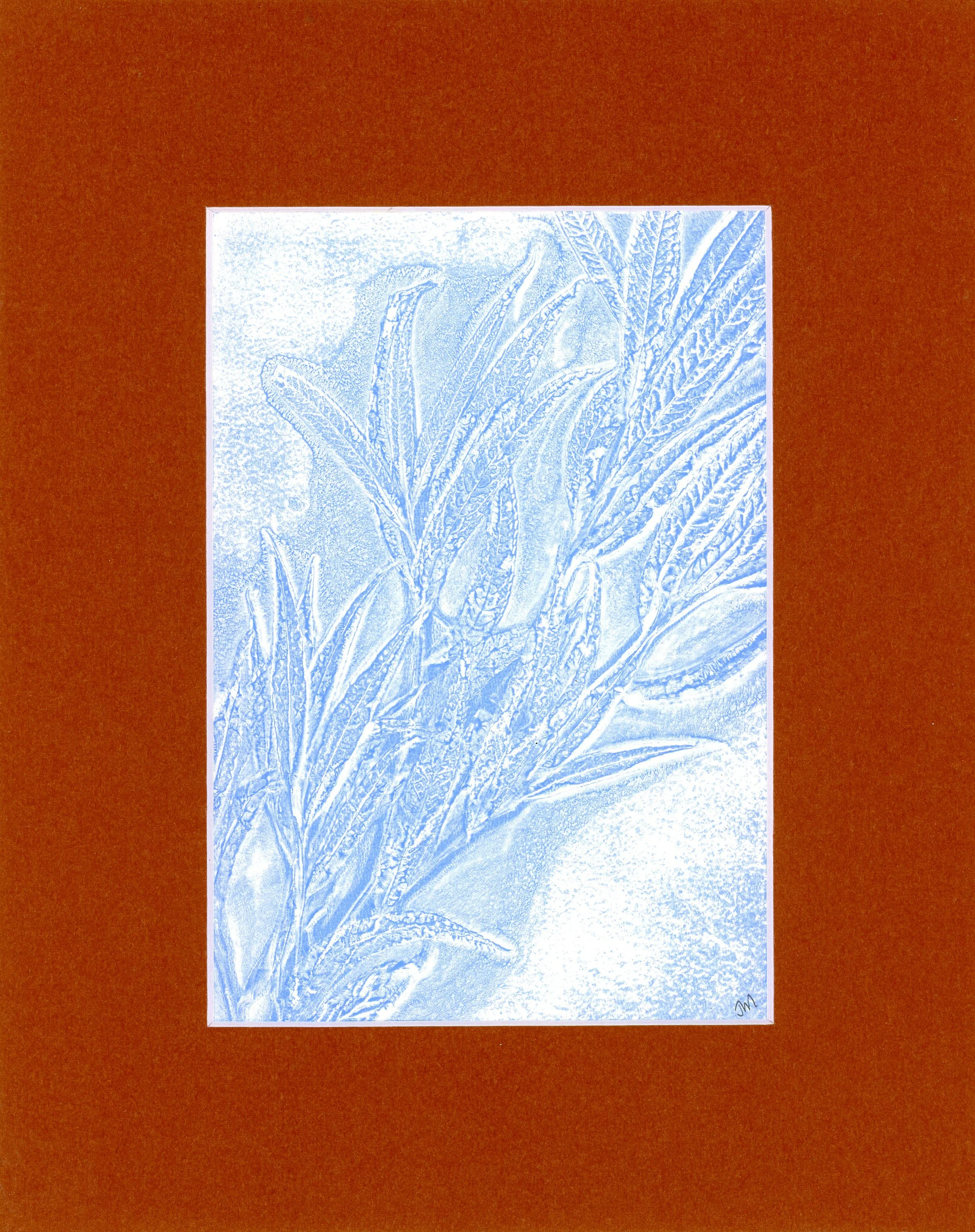 Gooddings willow in periwinkle 1_monotype_5 by 7_ 2025002.jpg