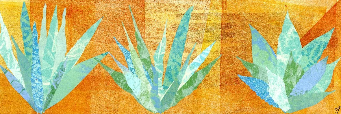 Elegant Agave No 5_collage_12 by 4 inches_2025002.jpg