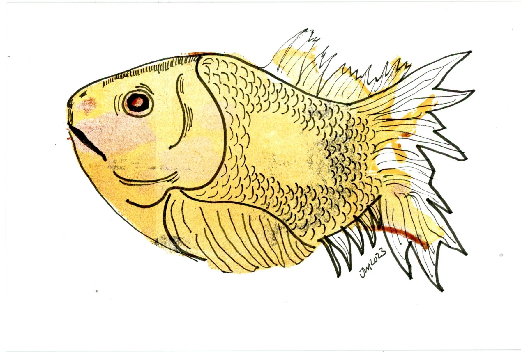 failedheartmonotprint_yellowfish_fullareascan002.jpg