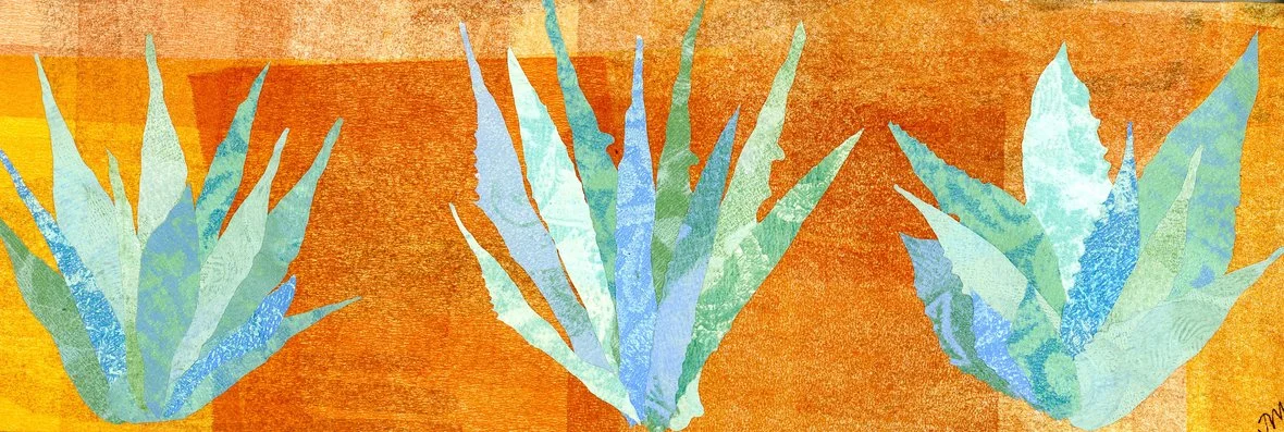 Elegant Agave No 4_collage_12 by 4 inches_2025002.jpg