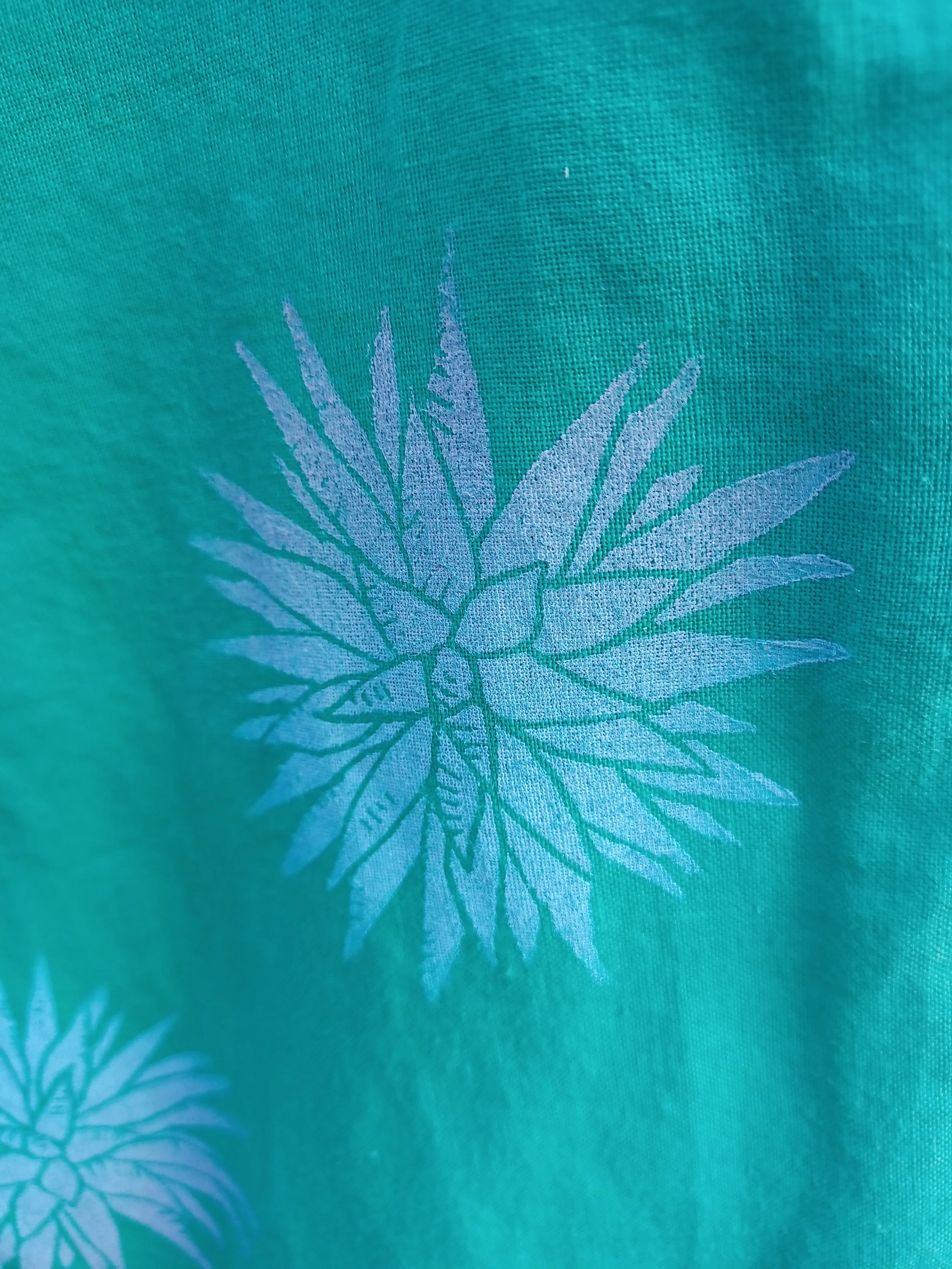 20260518_074459.jpg