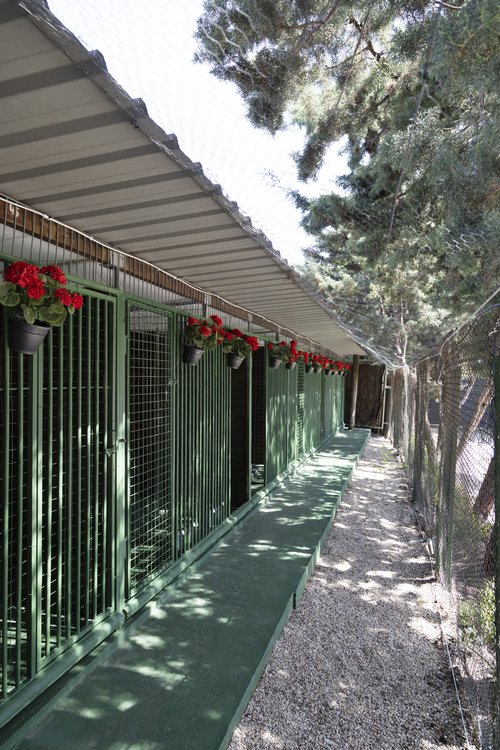 Imagem do hotel Centro Canino Gufy