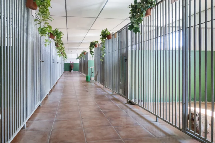 Foto da galeria de Centro Canino Gufy
