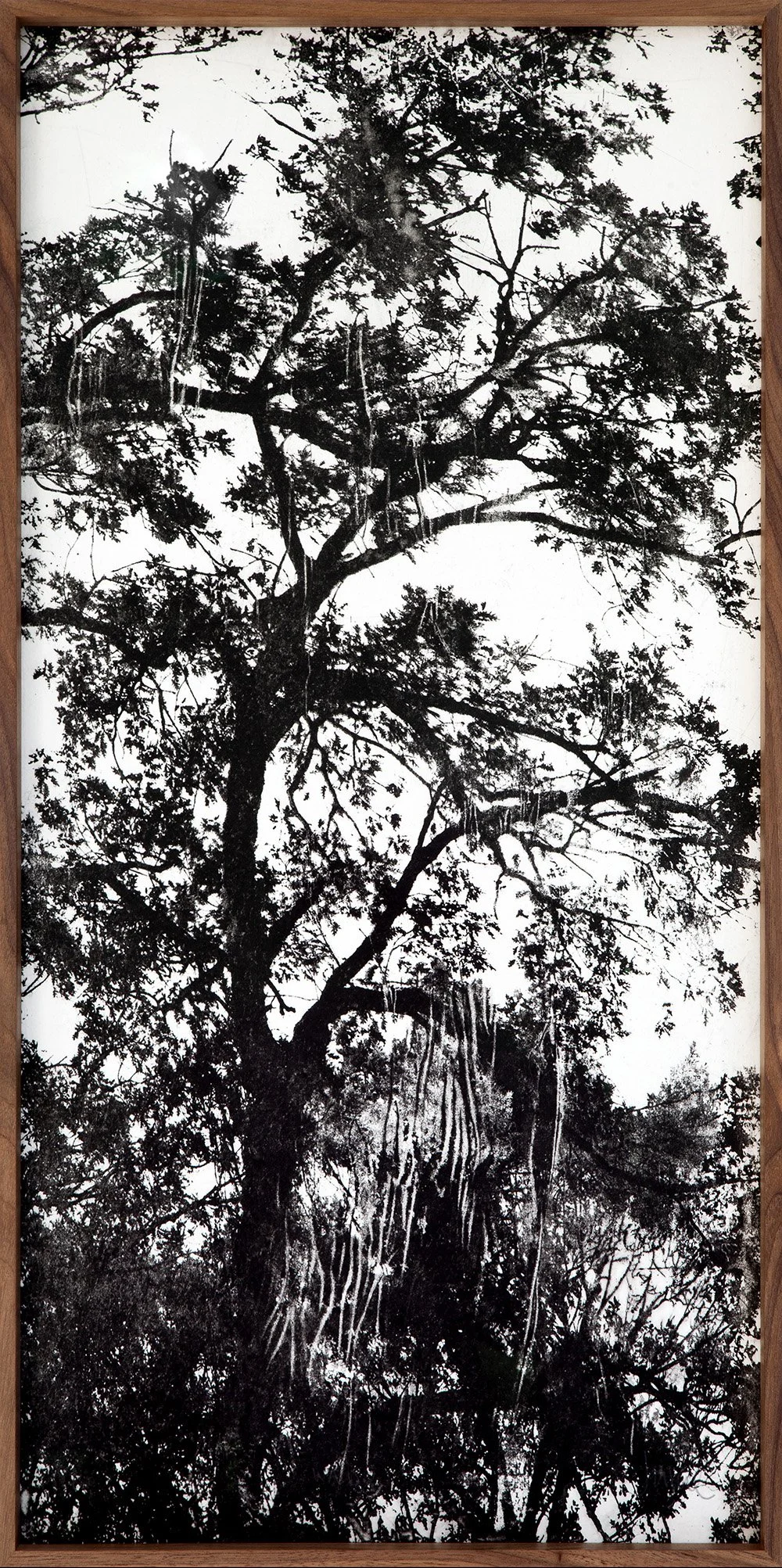 210131-GRABADOS WALD 02-WEB.jpg