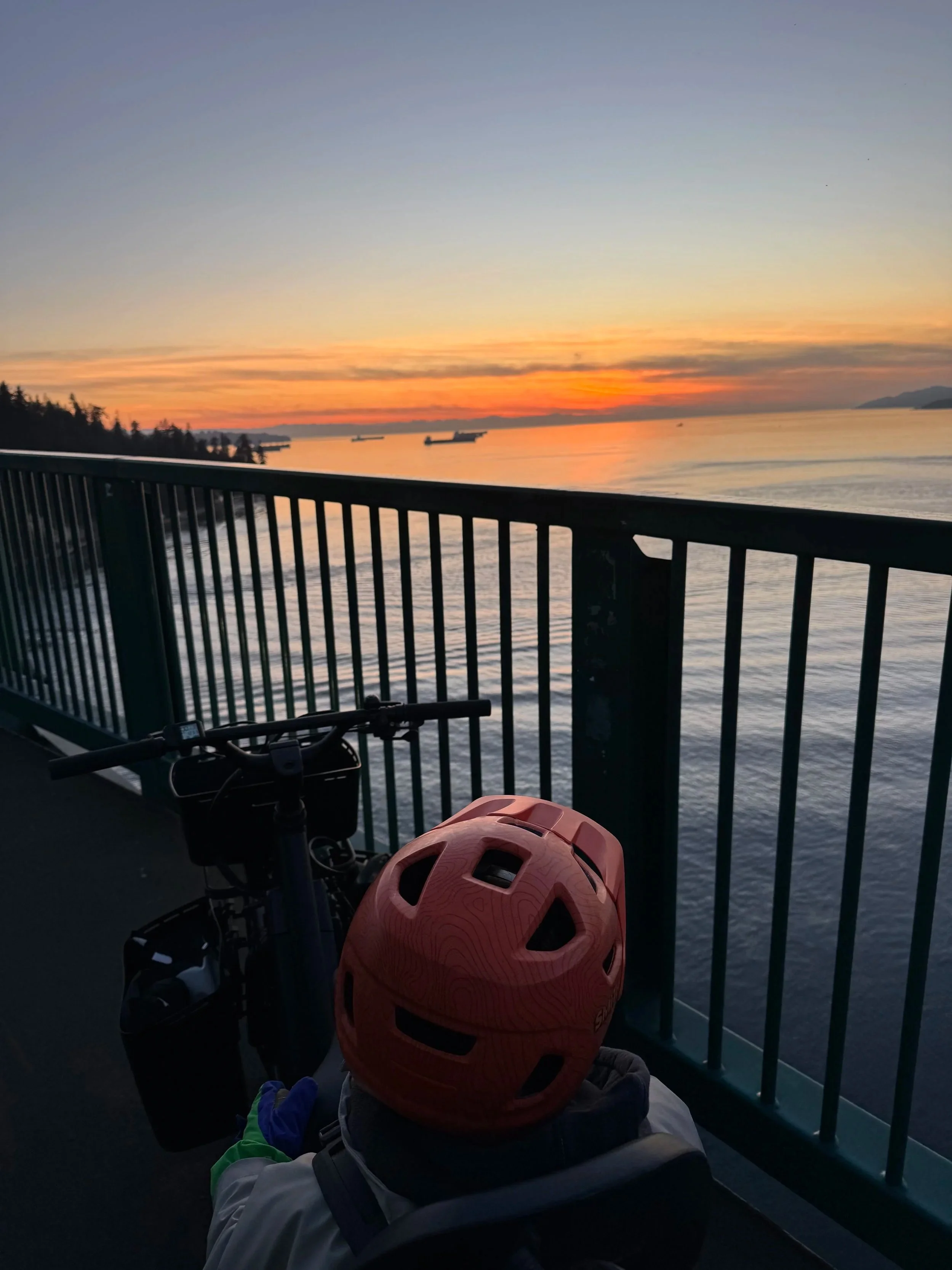 Enjoying a sunset from Lionsgate Bridge.