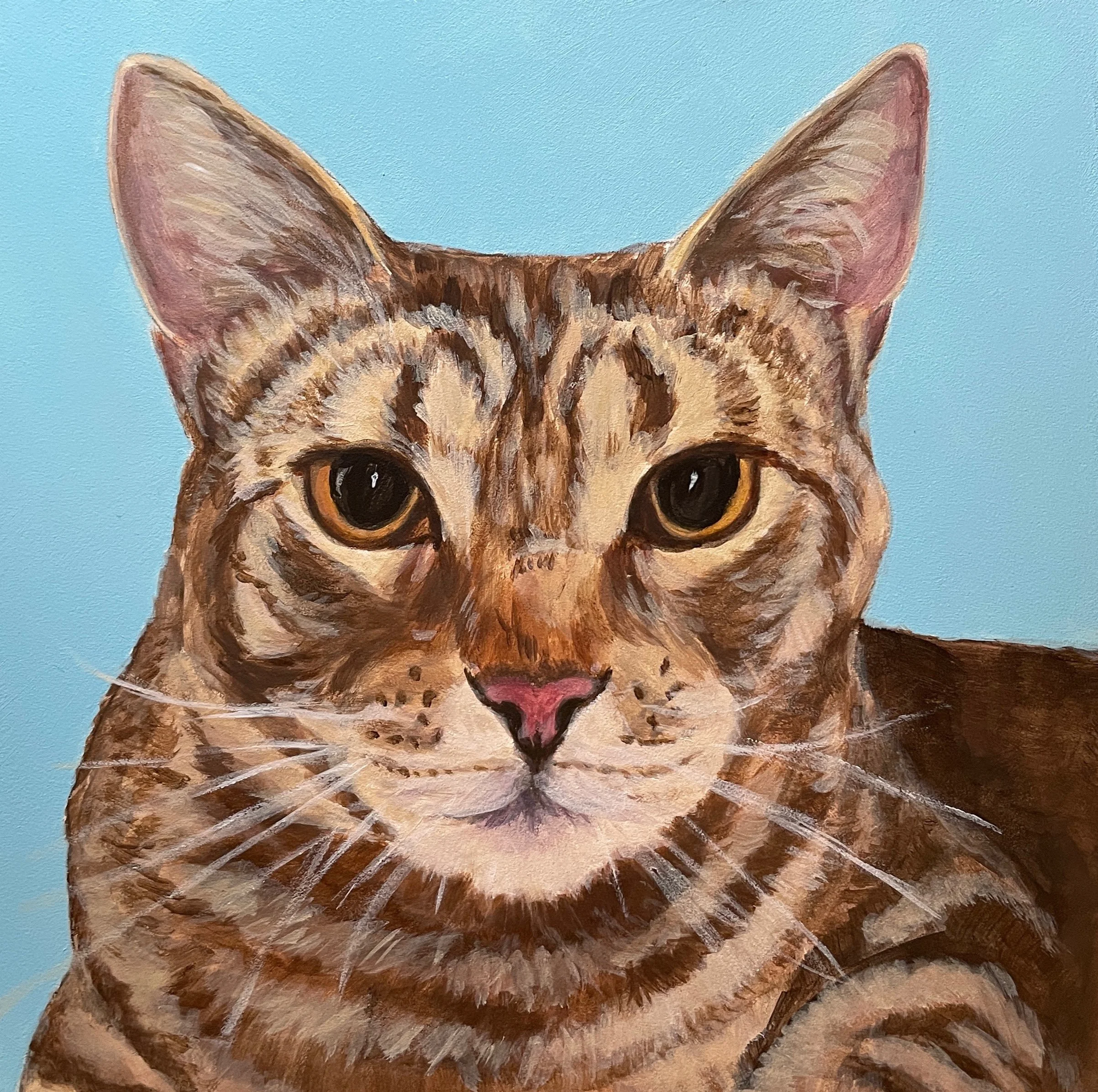 Portrait of Tiger  
6 x 6", acrylic on gesso bord  
sold on commission