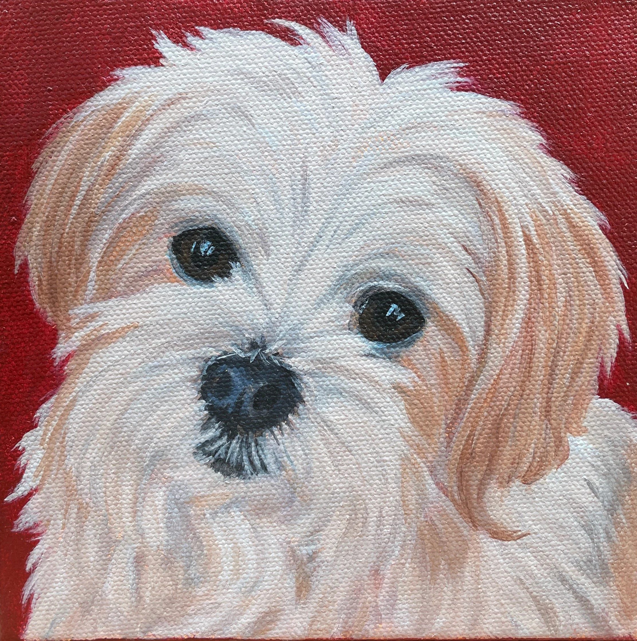 Portrait of Bo  
6 x 6", acrylic on gallery canvas  
sold on commission