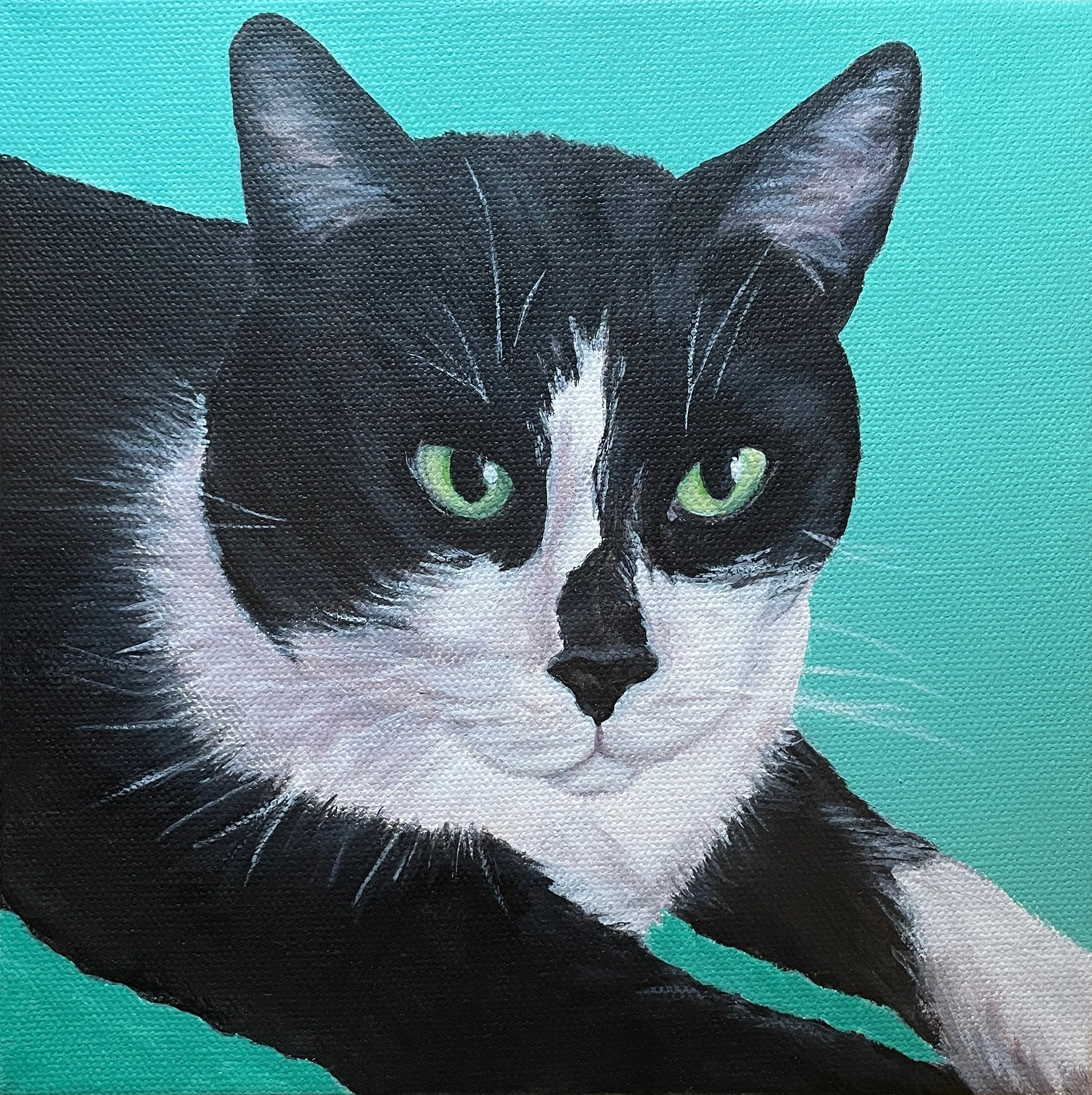 Portrait of Mr. Kitty  
8 x 8", acrylic on gallery canvas  
sold on commission