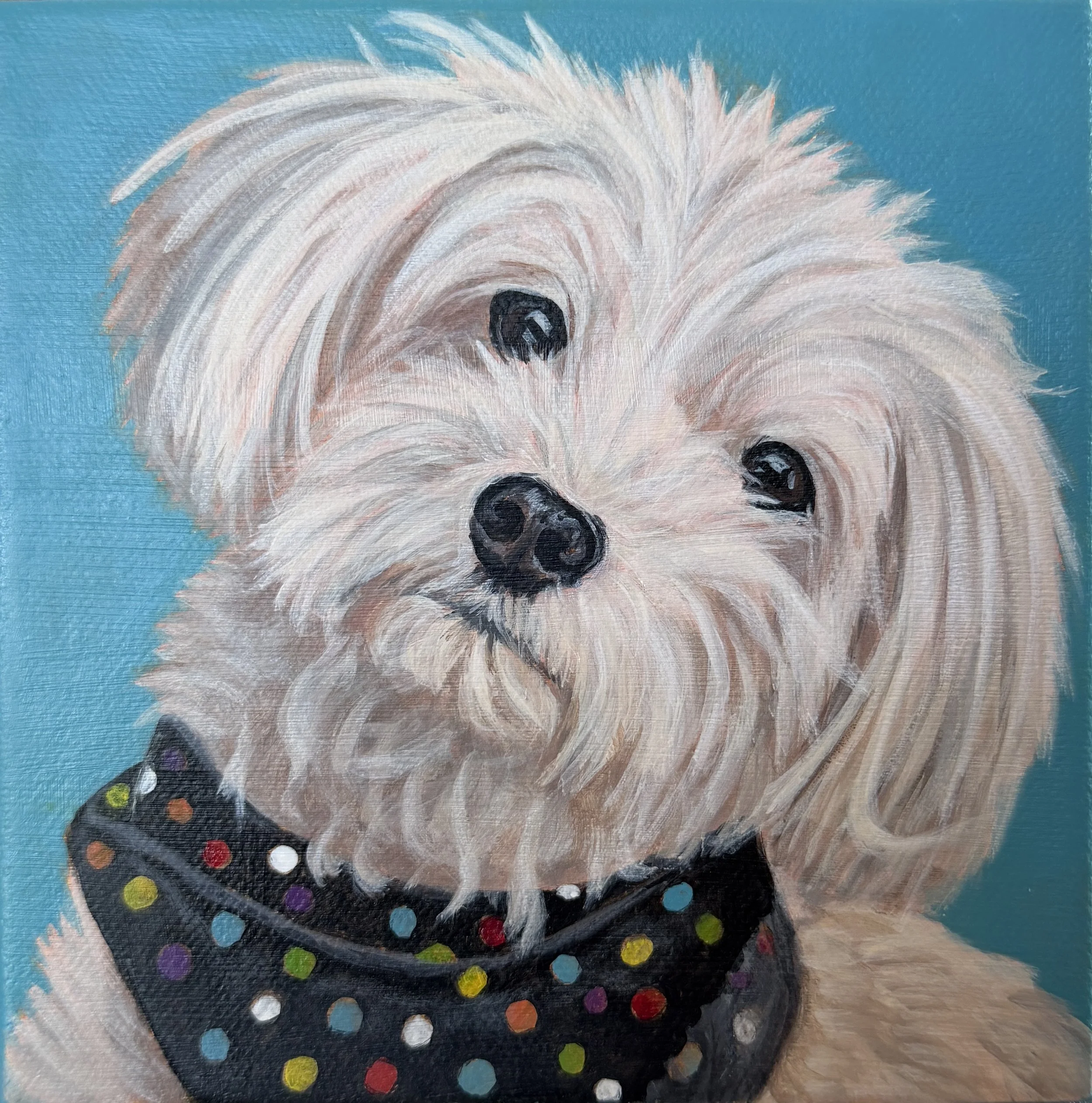 Portrait of Libby II 
6 x 6", acrylic on gallery canvas 
sold
