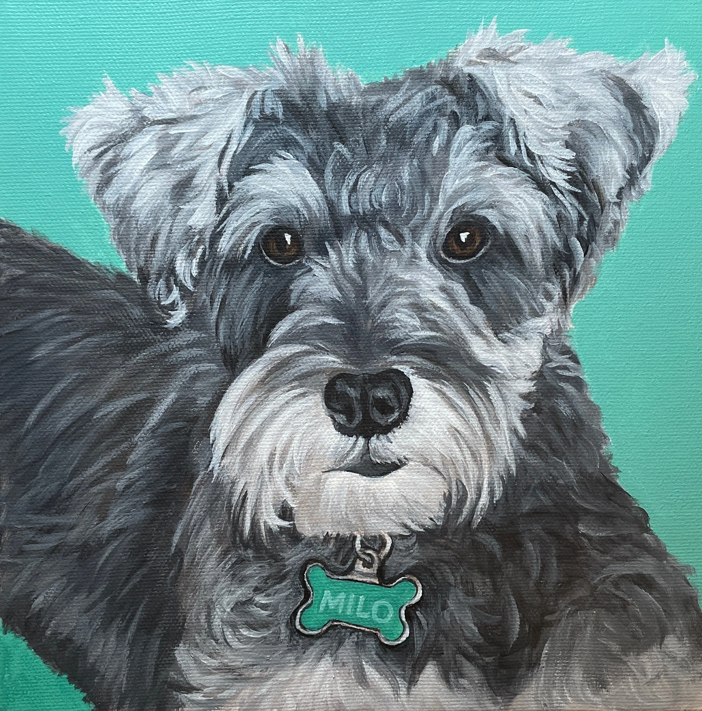 Portrait of Milo  
8 x 8", acrylic on gallery canvas  
sold on commission