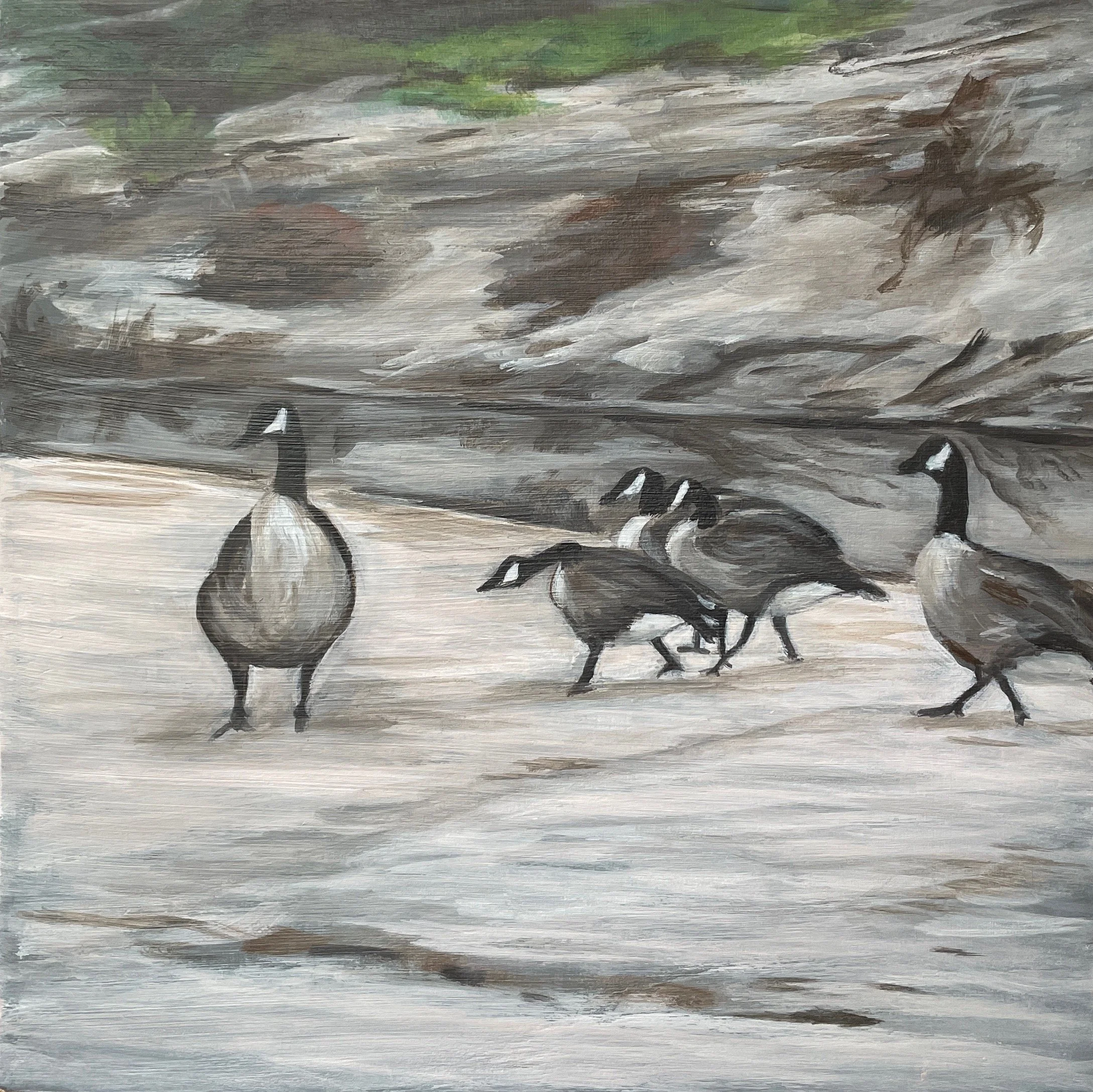Beachside Flock  
8 x 8", acrylic on wood panel  
$80, unframed