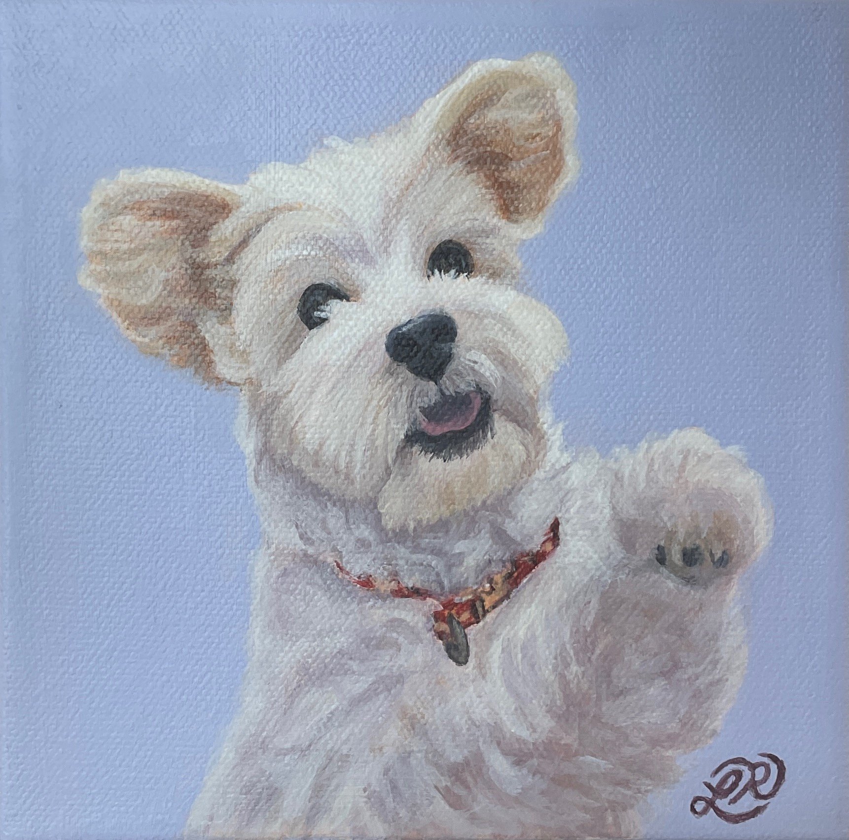 Portrait of Miko   
6 x 6", acrylic on gallery canvas  
not for sale