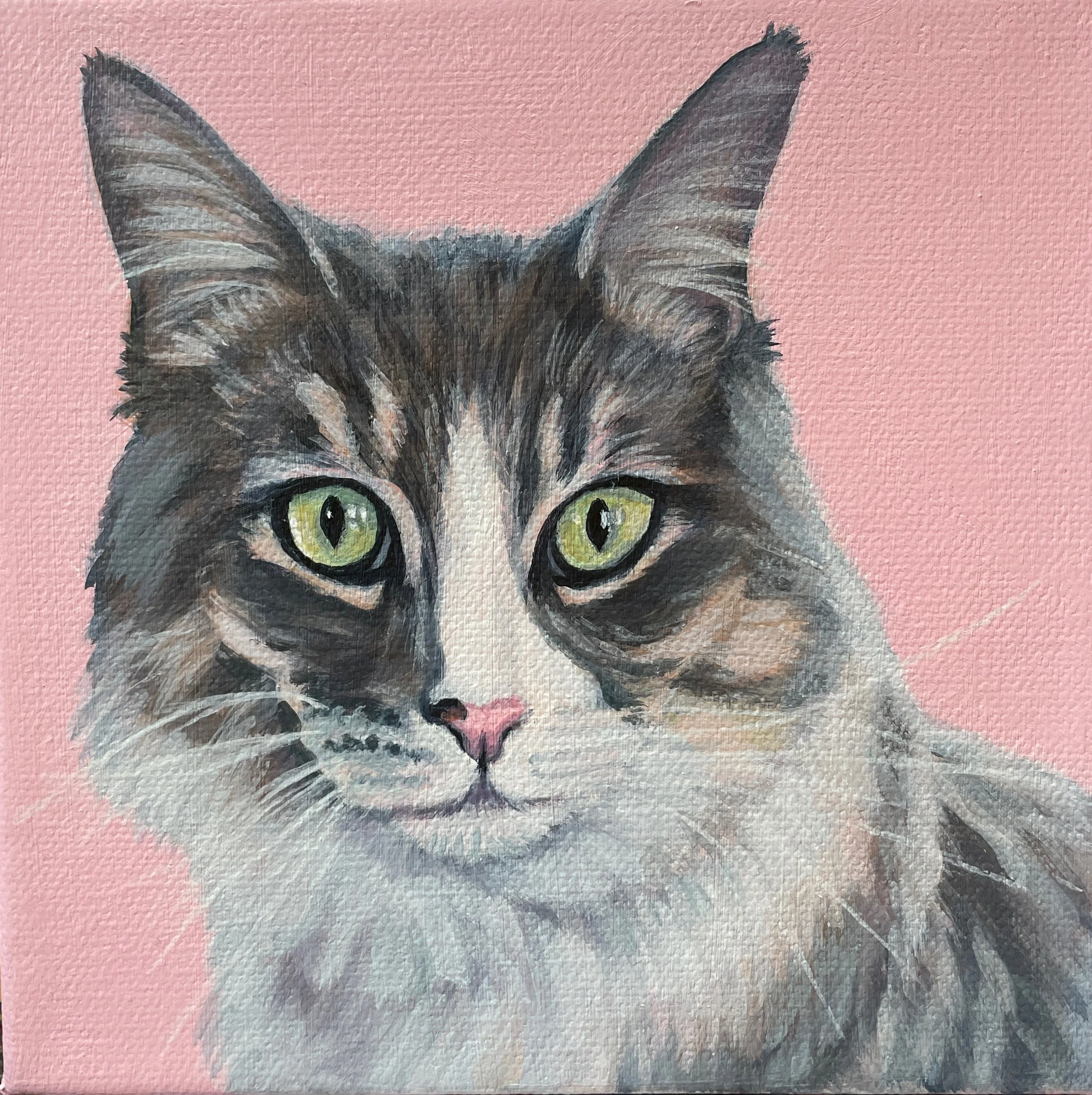 Portrait of Toopy  
6 x 6", acrylic on gallery canvas  
sold on commission