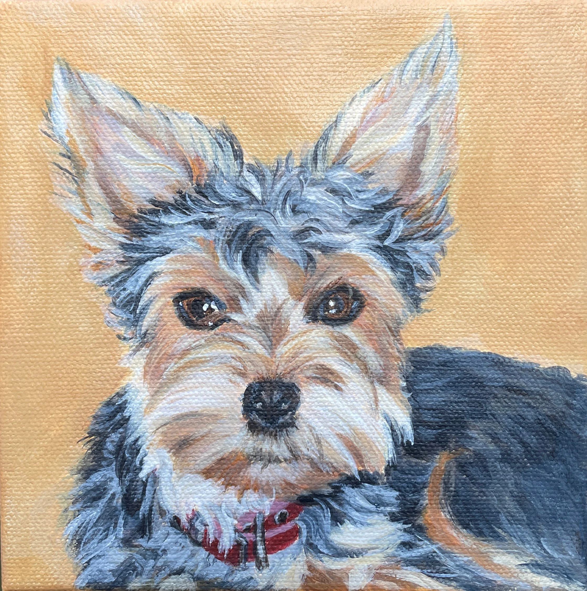Portrait of Bug  
6 x 6", acrylic on gallery canvas  
sold on commission