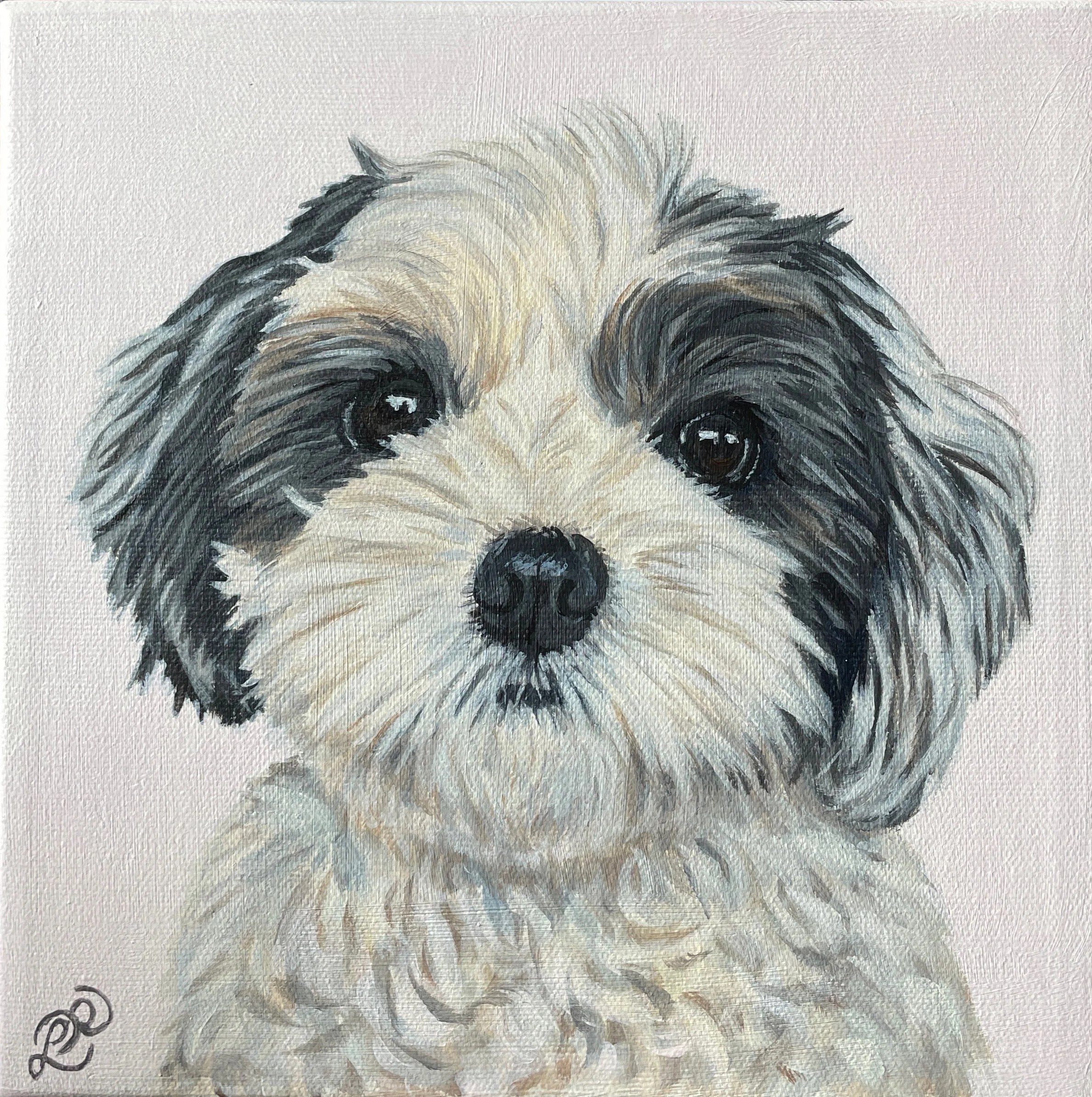 Portrait of Molly II  
6 x 6", acrylic on gallery canvas  
sold on commission