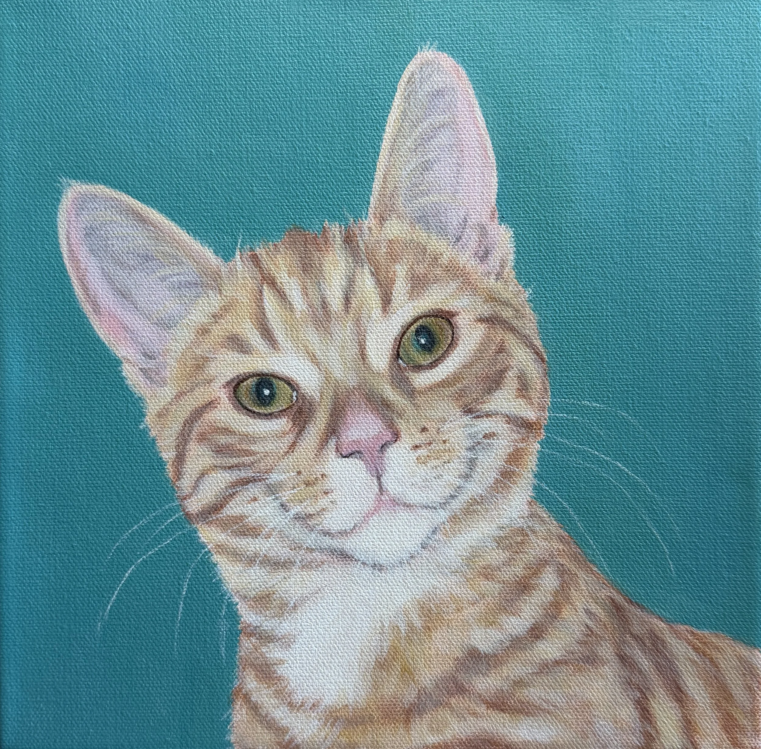 Portrait of Huckleberry 
10 x 10", acrylic on gallery canvas 
sold on commission