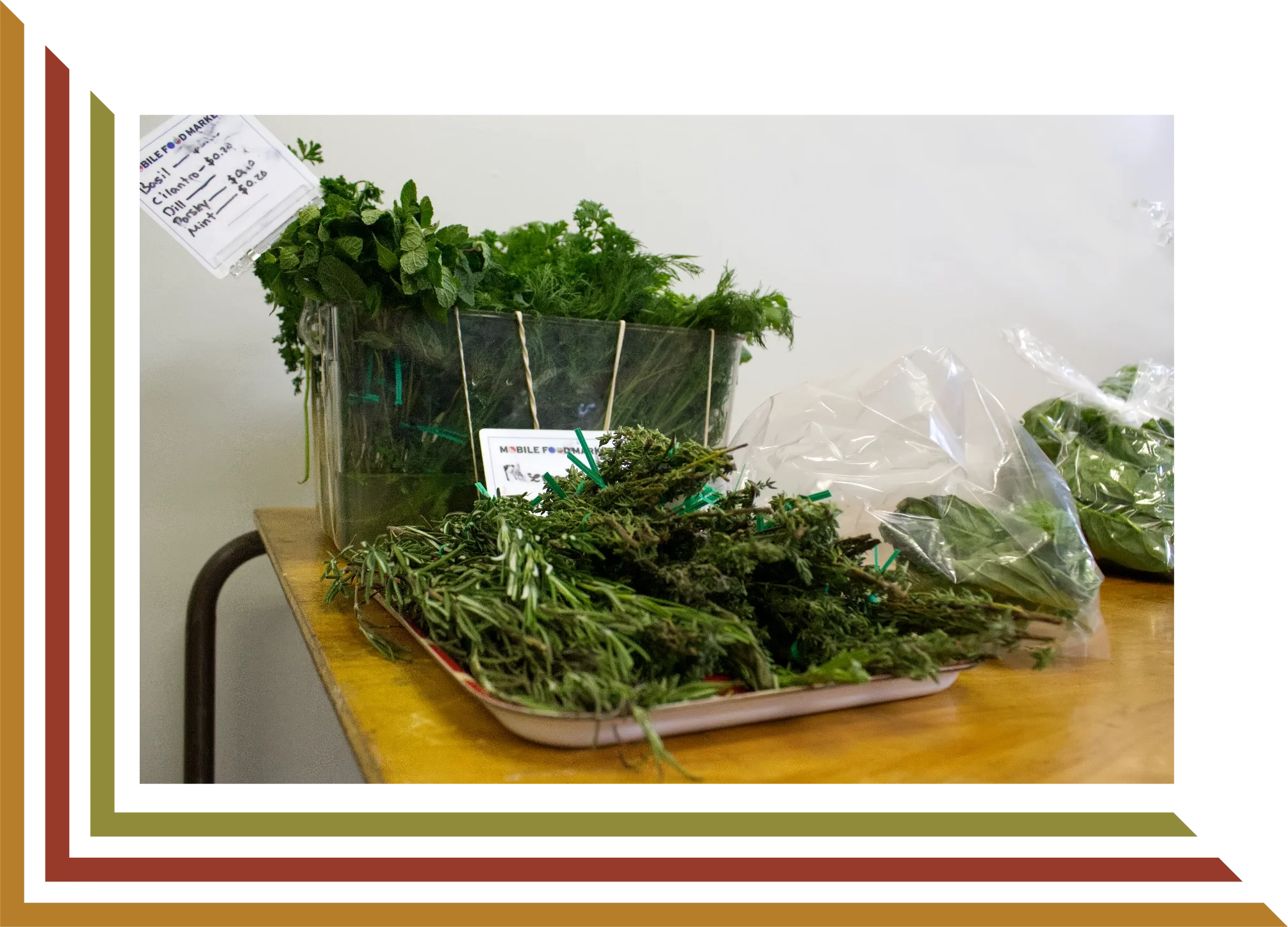Fresh herbs and plants on a wooden table, including basil, dill, cilantro, and rosemary in a plastic container and bags.
