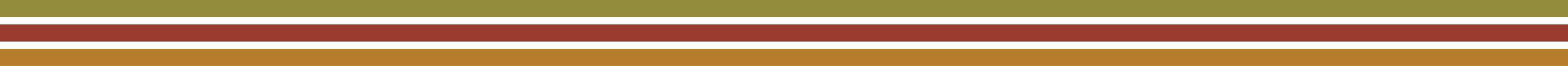 Close-up of horizontal striped fabric with brown, gold, and red stripes.