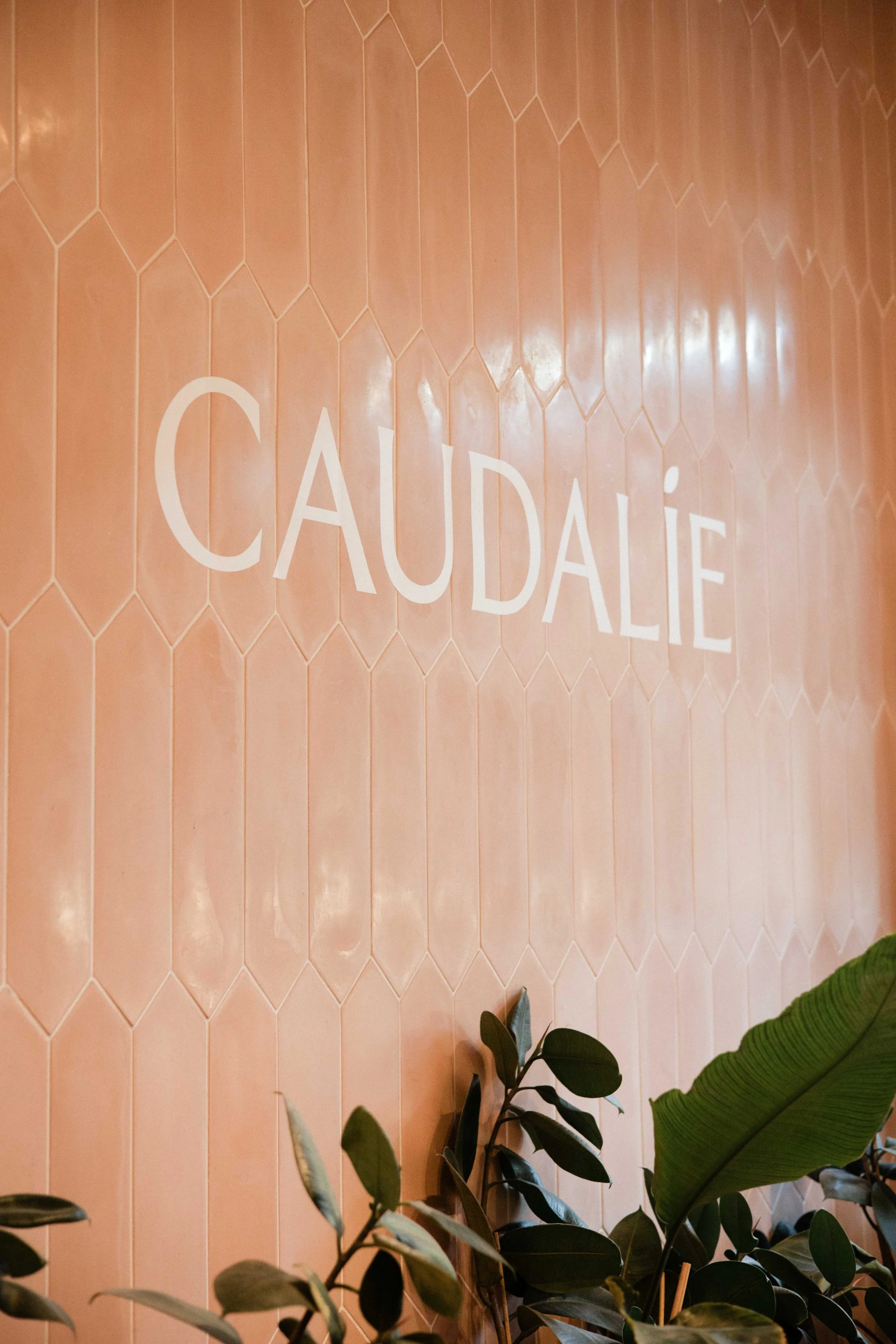 SV_CAUDALÍE-4.jpg