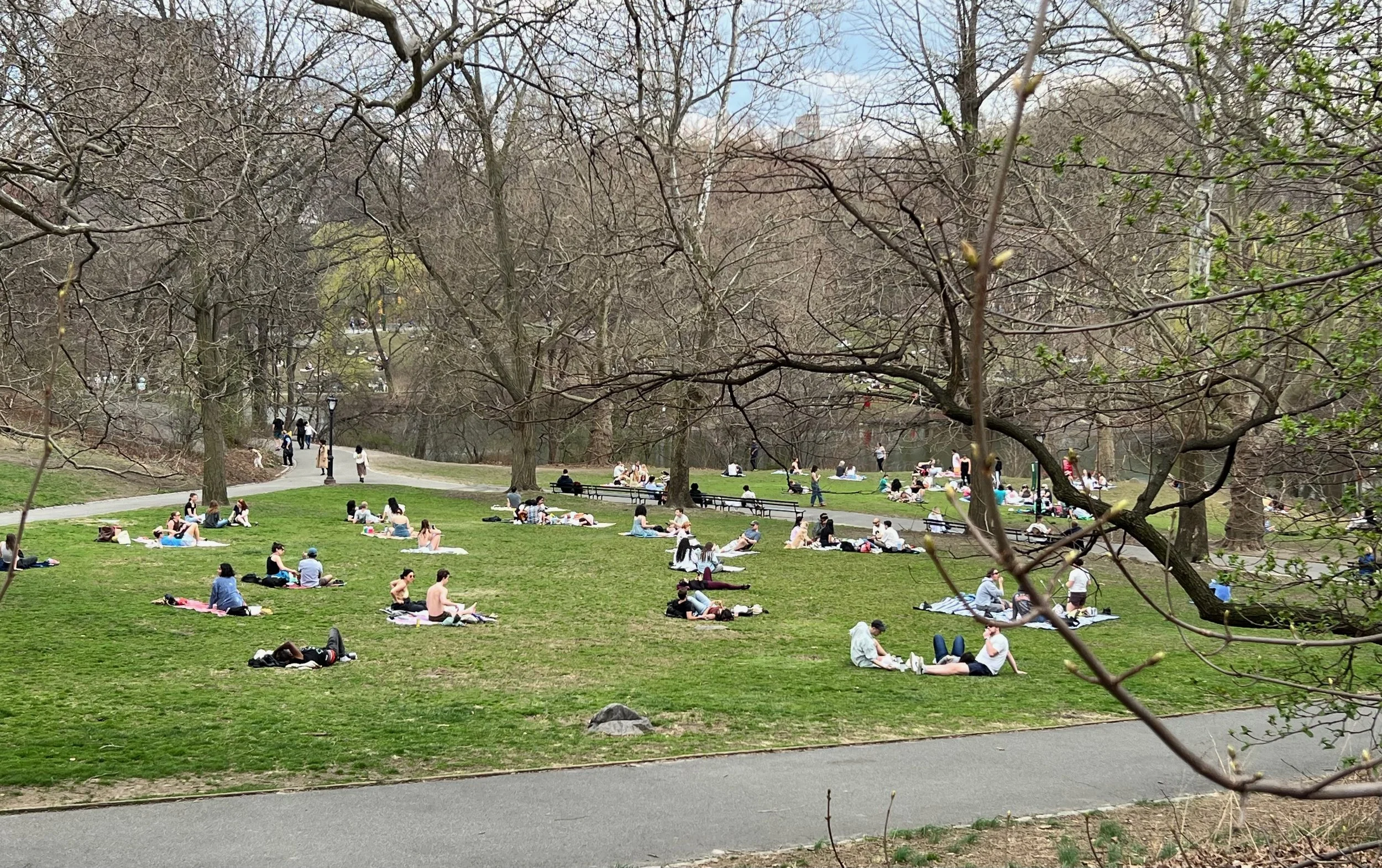 NYC Central Park 1.jpeg