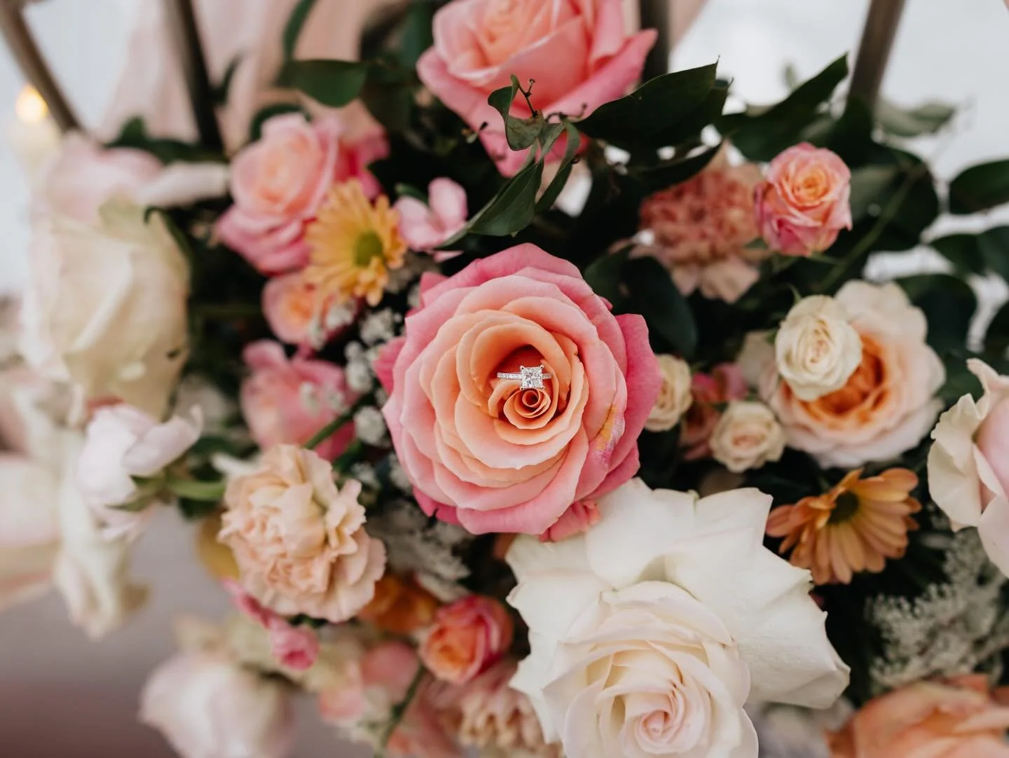 Jessica and Josuah are newly engaged! 💍🌸 Wishing you both a lifetime of love and happiness. Proposal sessions are becoming my favorite, all the emotions wrapped into one moment melts my heart every time!
&bull;
&bull;
&bull;

#houstonphotographer #