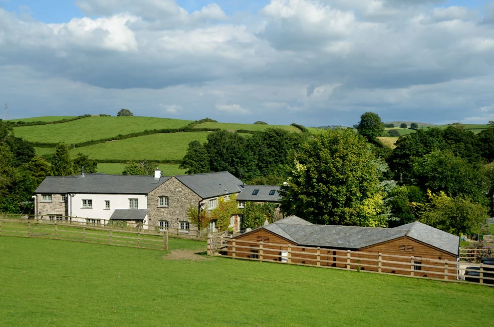 wdp steps end 58.jpg