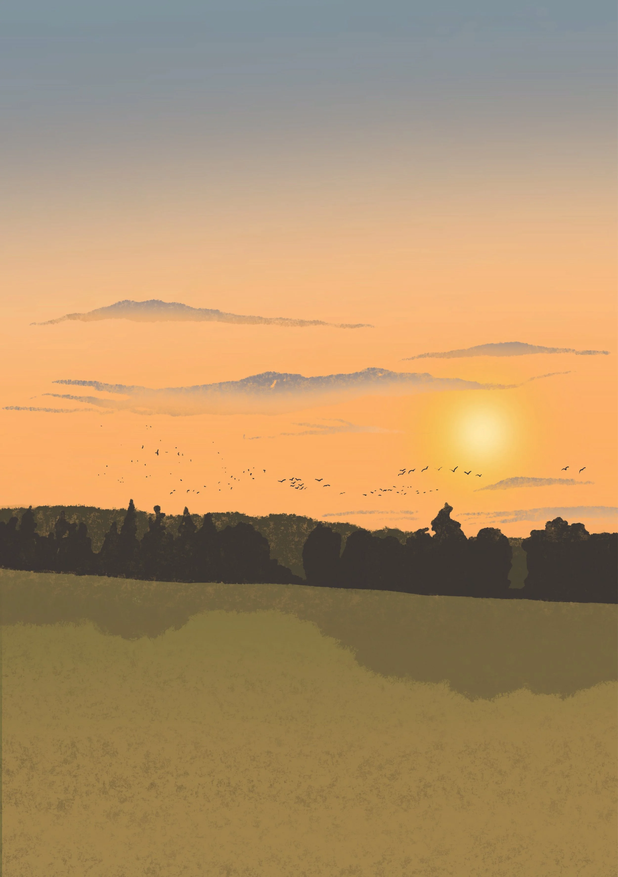 Sunset in field A3.jpg