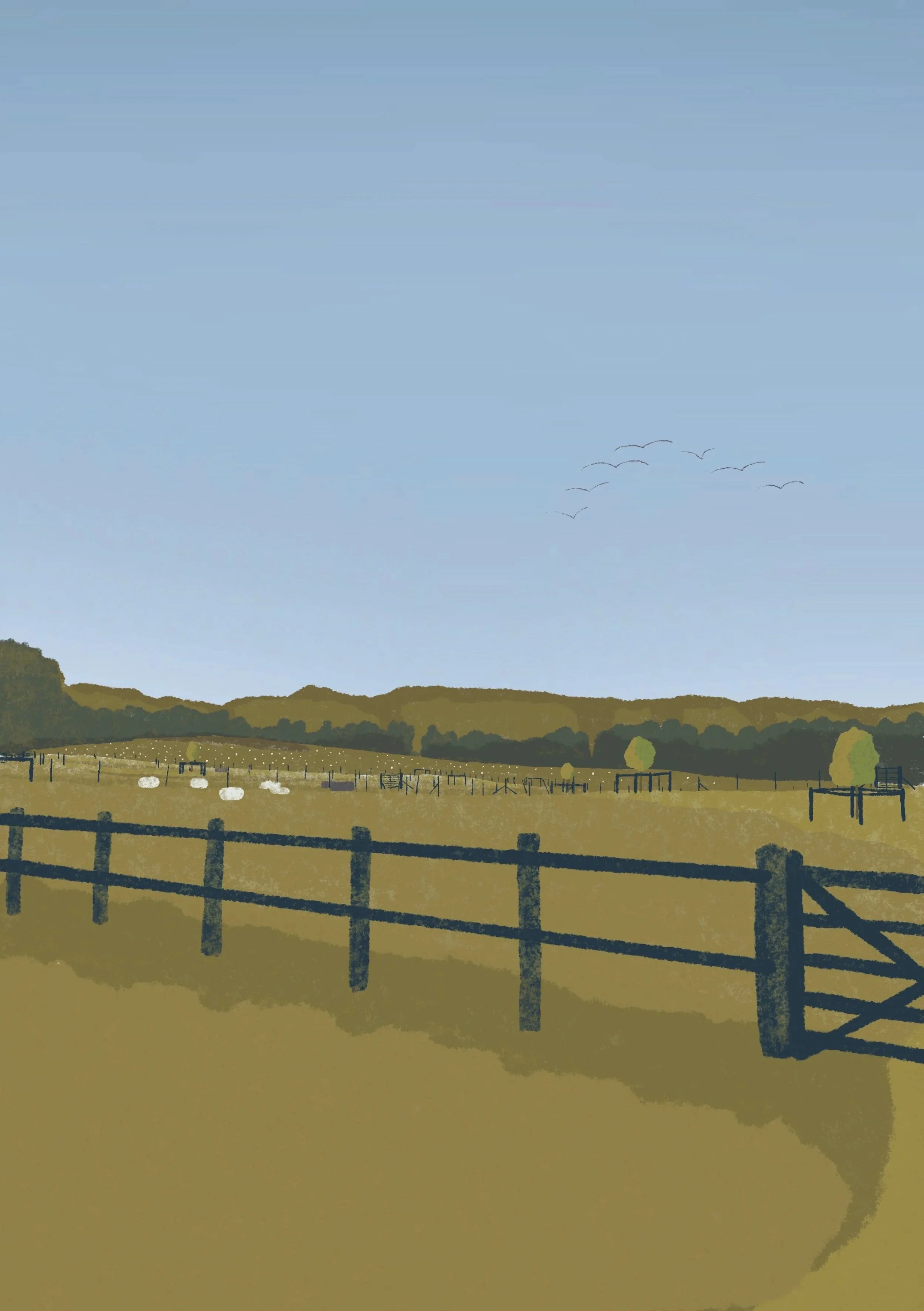 Field+A3.jpg