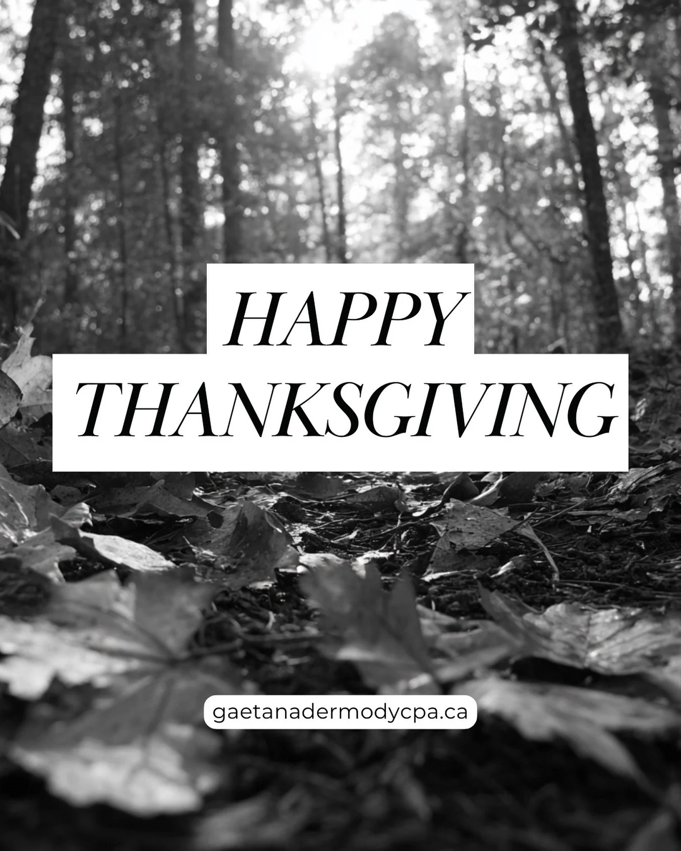 #cpa #charteredprofessionalaccountant #smallbusiness #taxpreparation #kelowna #kamloops #kootenays #okanagan #northernbc #vancouver #northvancouver #richmond #burnaby #thankful