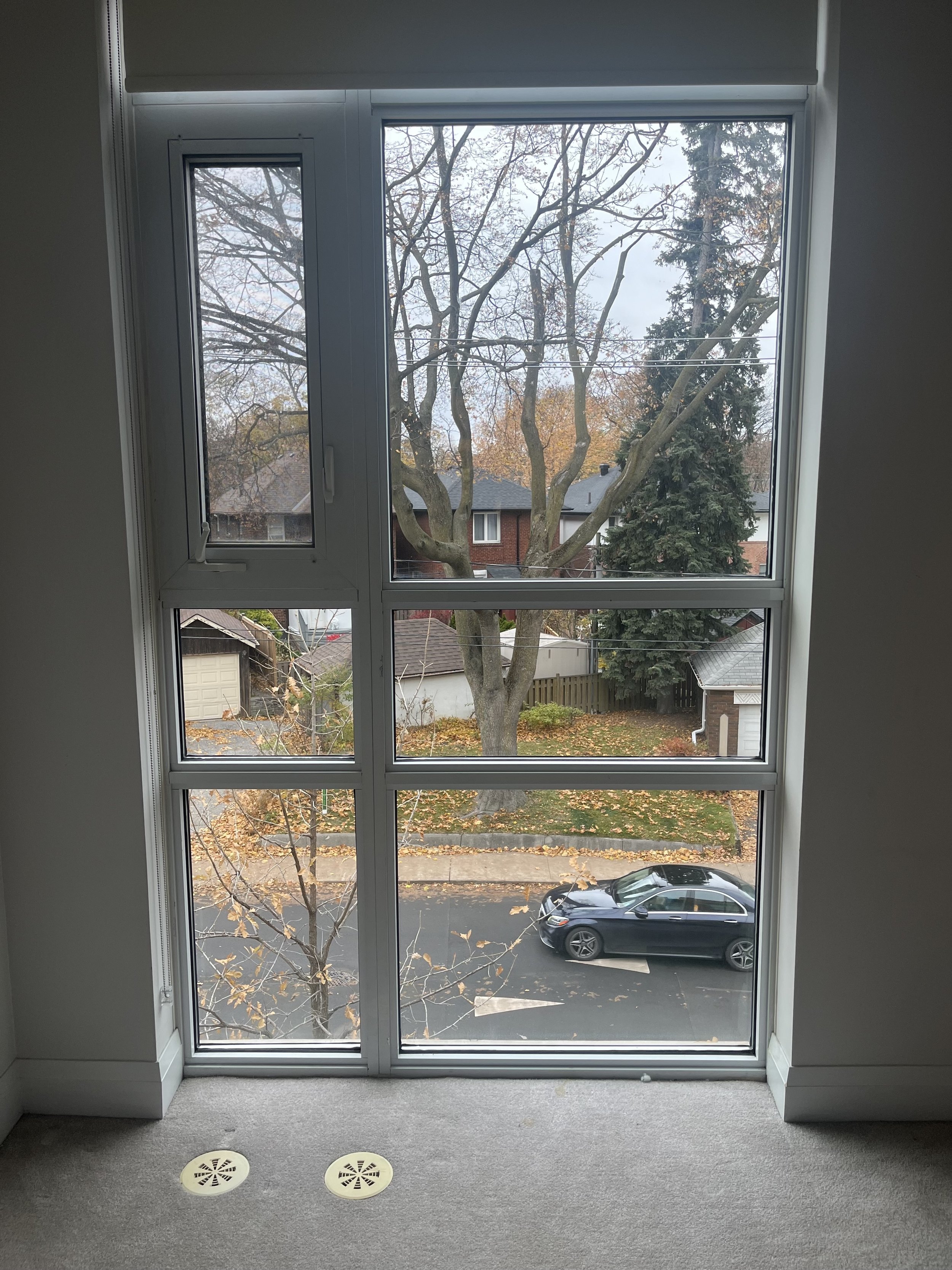 View of a large window looking out onto a street with a black car parked and trees with autumn leaves.