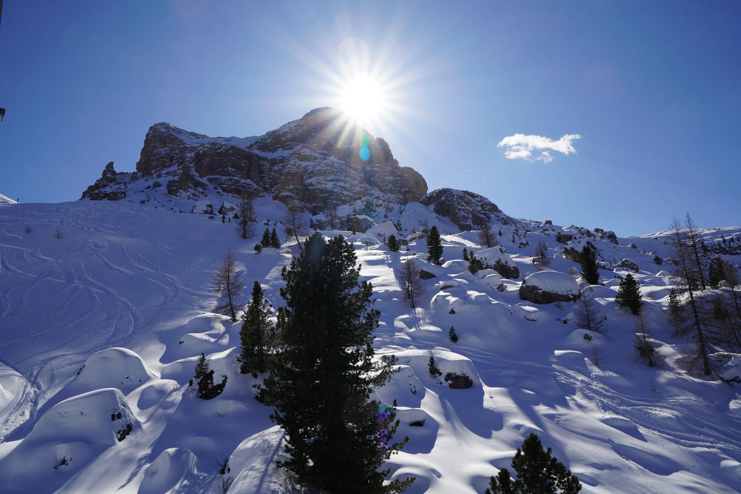 Dolomiti Landscape '26
