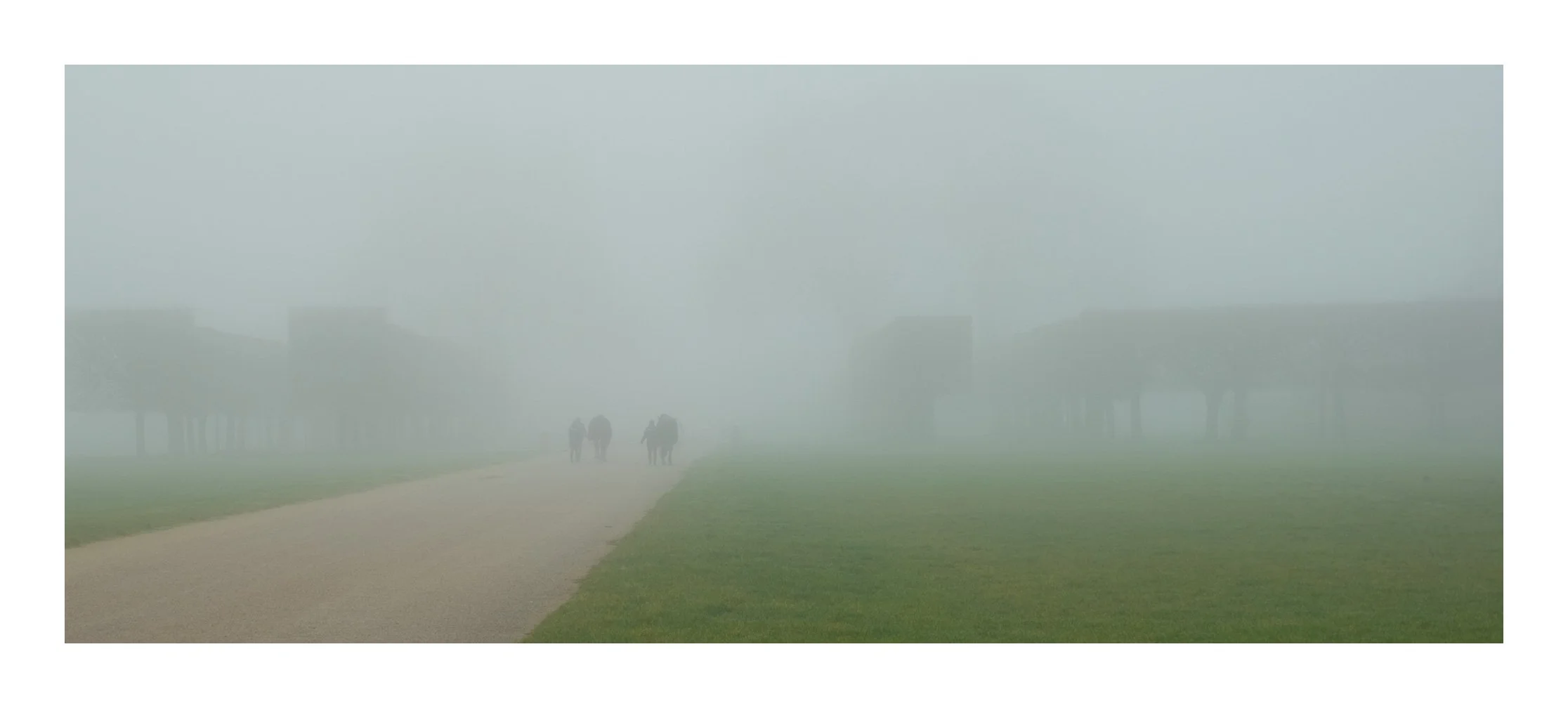 A foggy scene with three horses walking along a path, flanked by green grass, with buildings barely visible in the background.