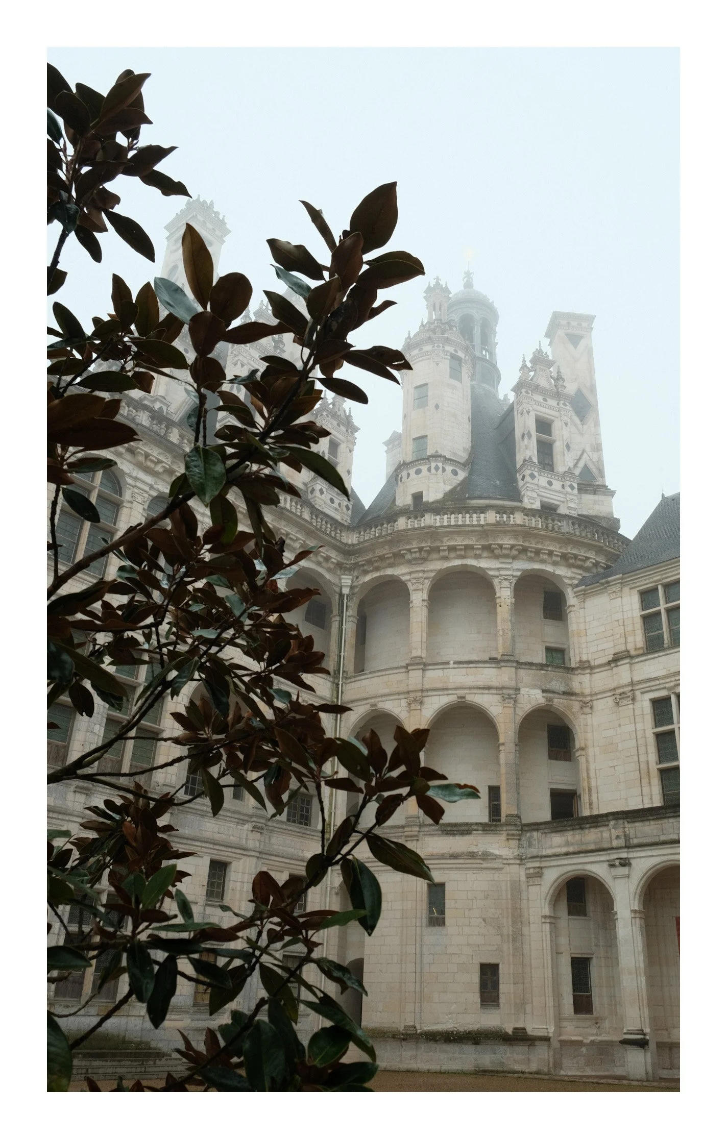 A historic castle with intricate architecture and multiple towers, partially obscured by a tree with dark green and brown leaves.