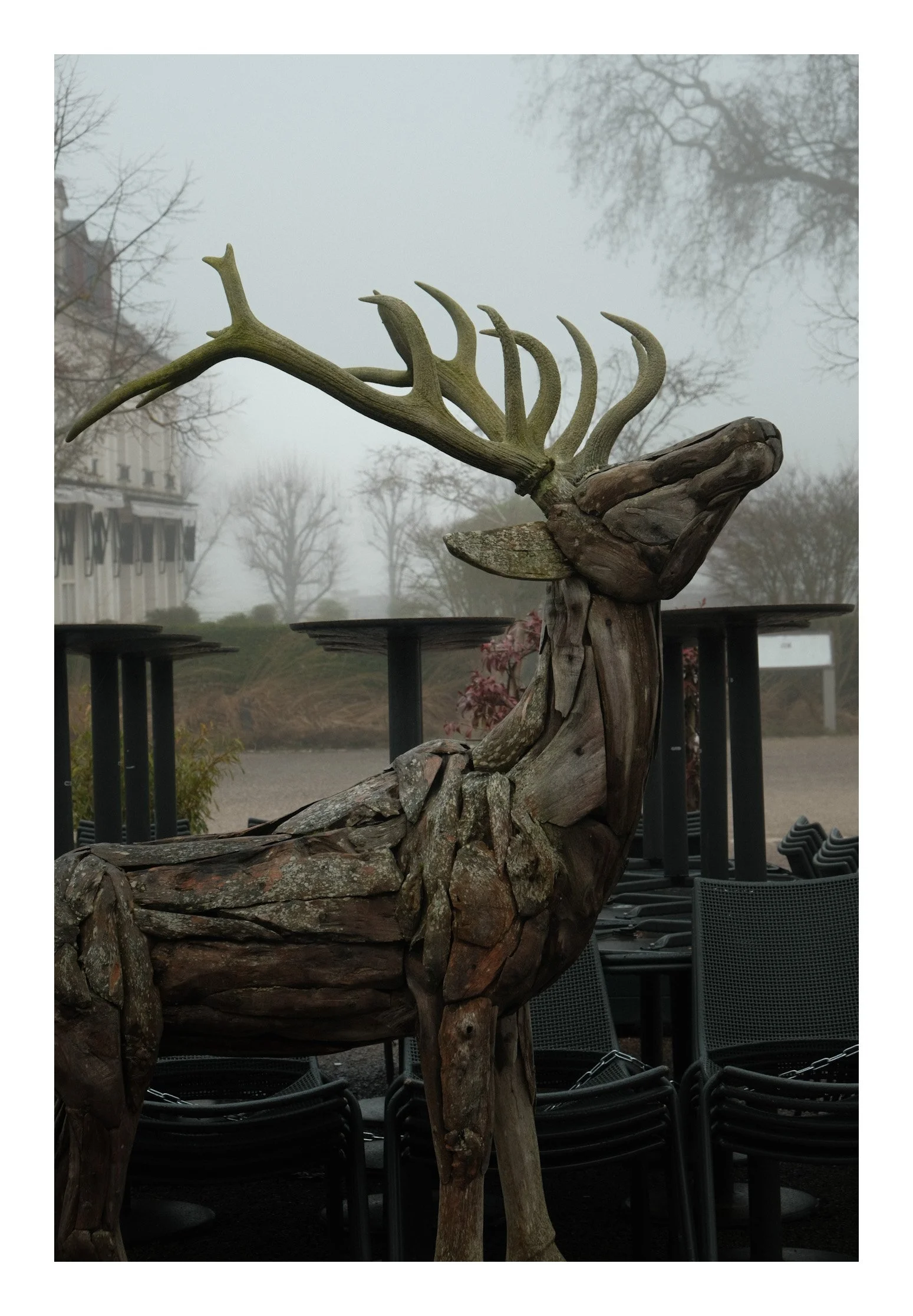 A large sculpture of a deer made from weathered driftwood with prominent antlers, set outdoors on a patio area with stacked chairs and a foggy background of trees and buildings.