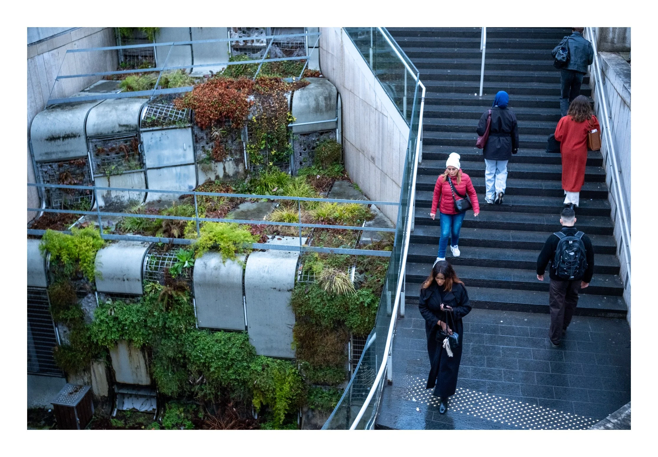 People walking up and down stairs next to a green plant-covered structure.